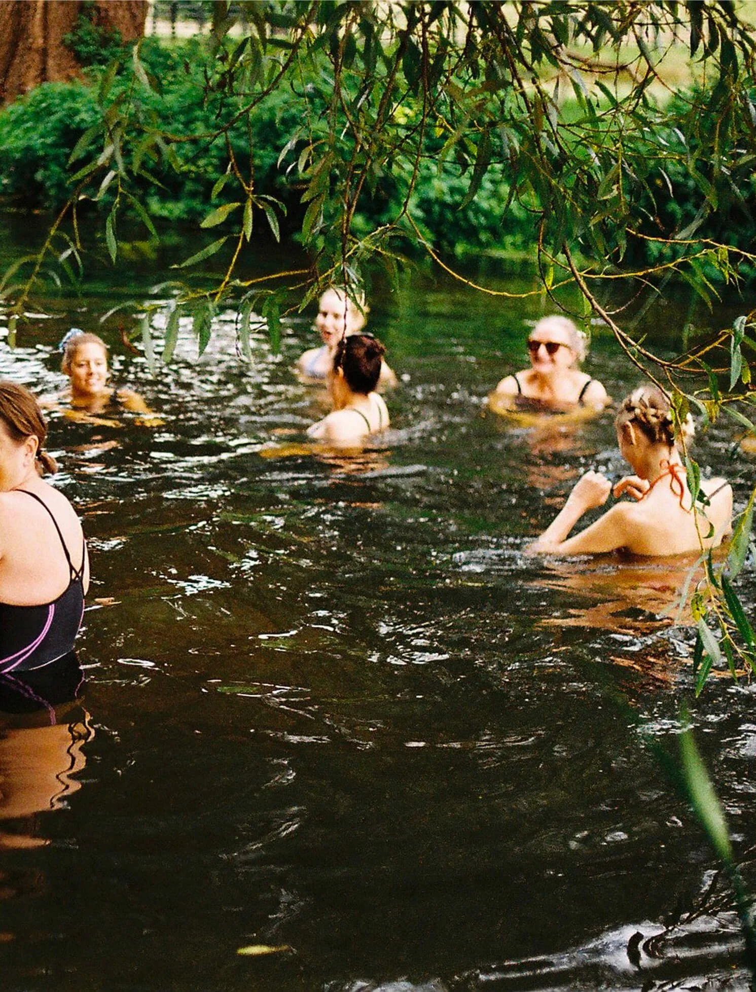 Group of people swimming and relaxing in a natural pond surrounded by greenery and overhanging tree branches.