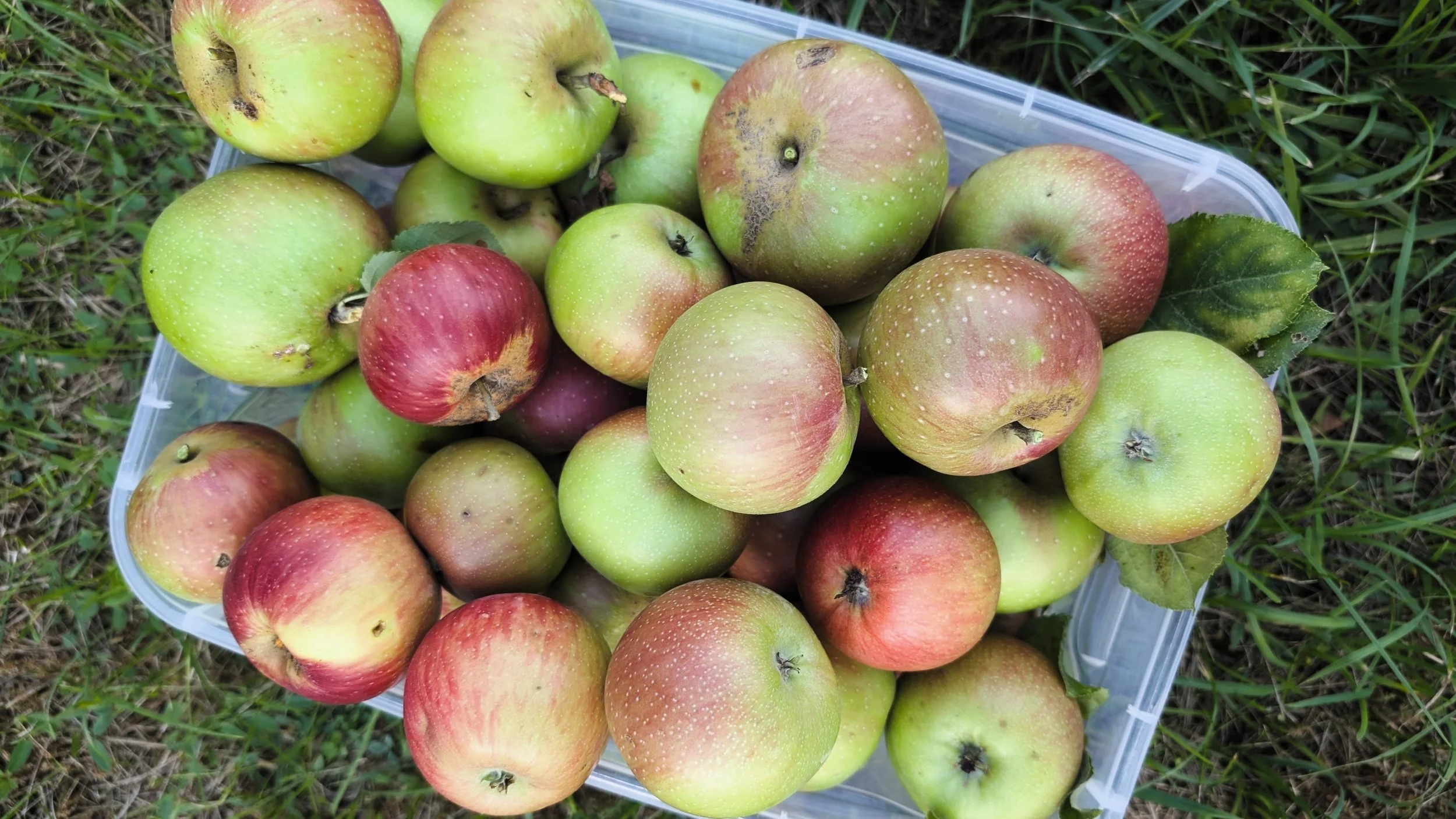 PXL_20250902_170356280 - 16x9.jpg