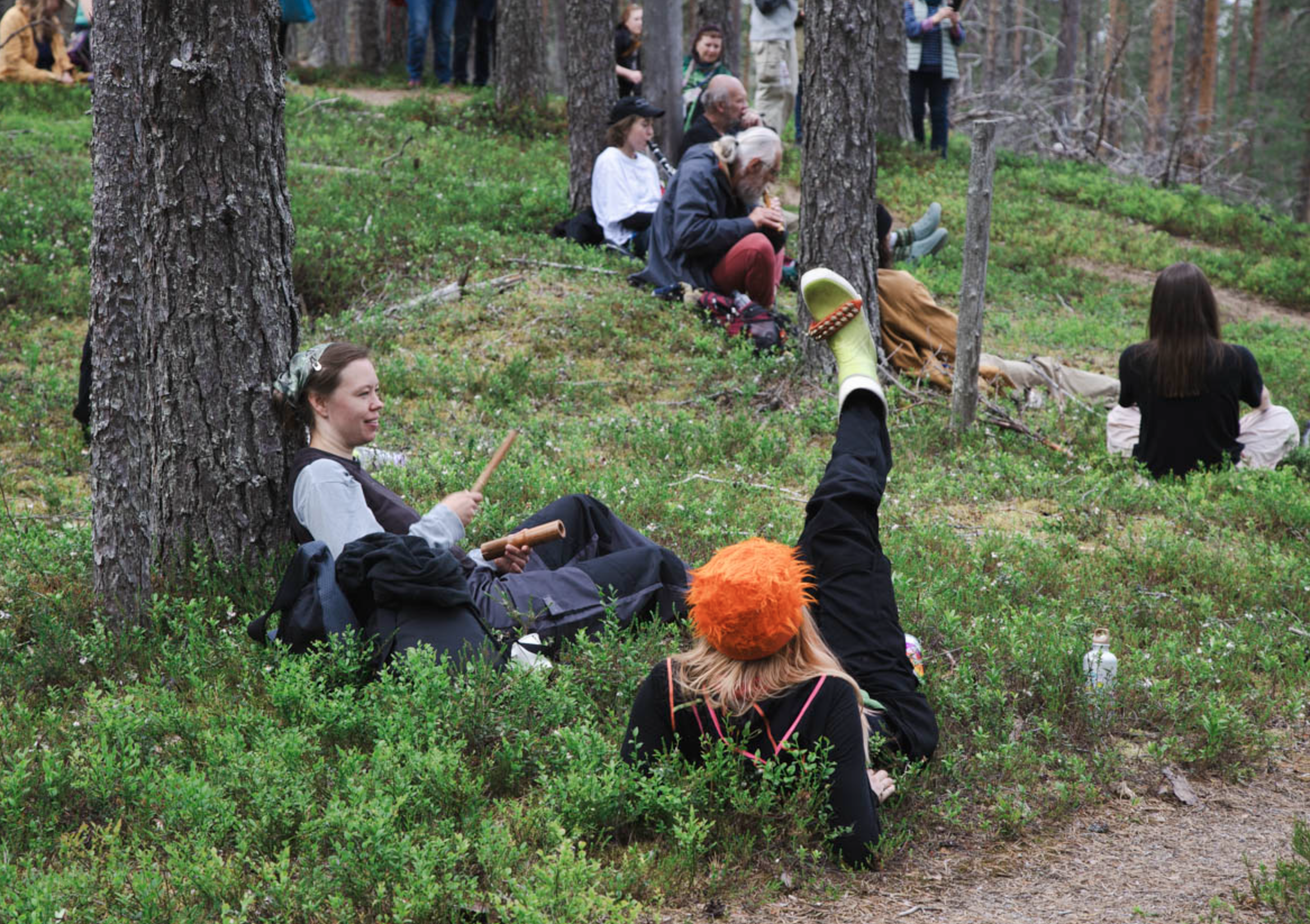 Soiva Metsä Festival (2025)