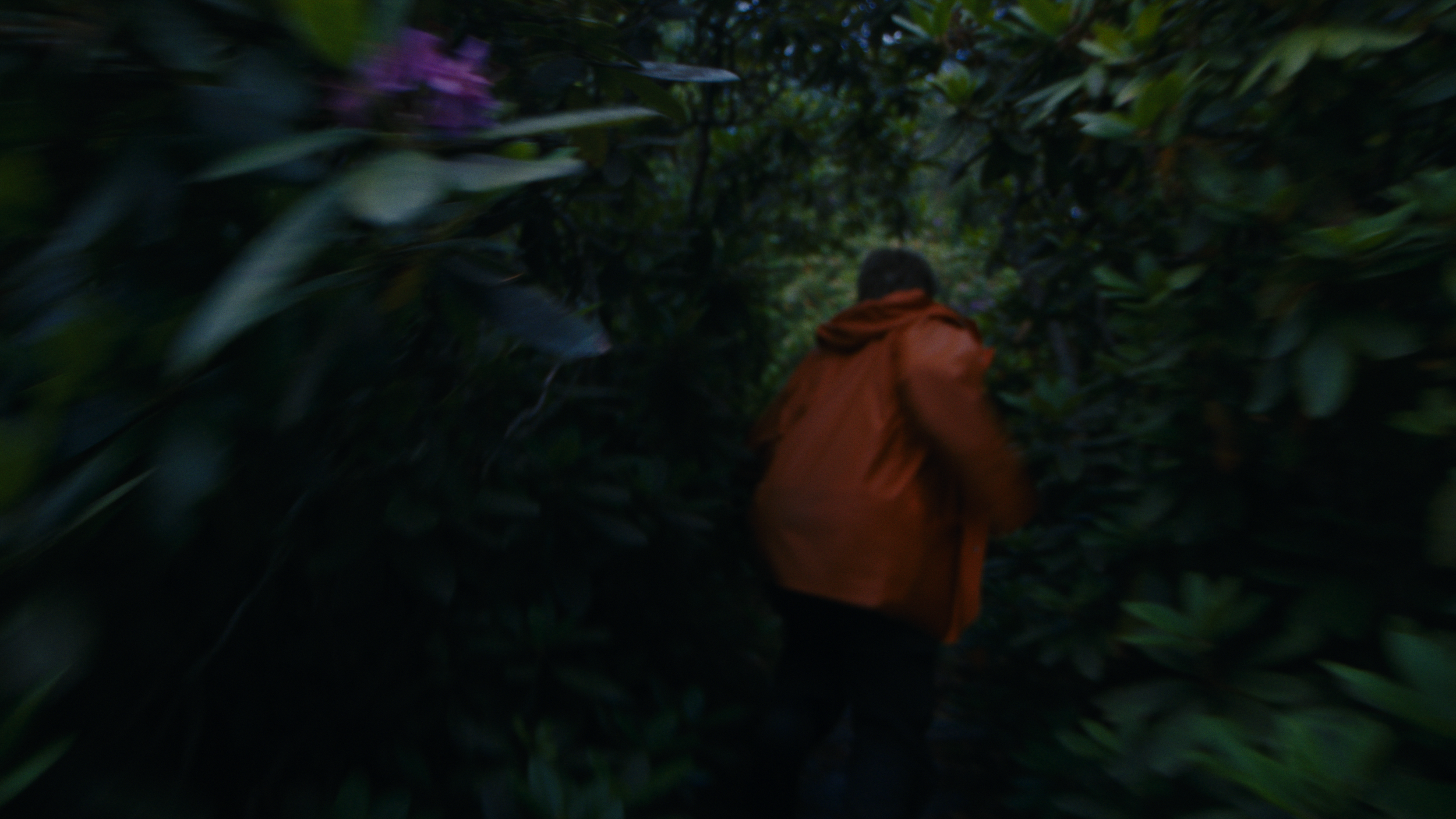Blueberrylands (2023)