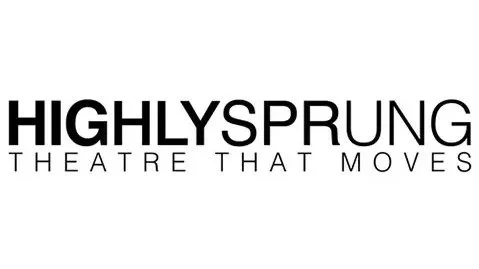 Birmingham Photographer Client- Highly Sprung Performance.jpg