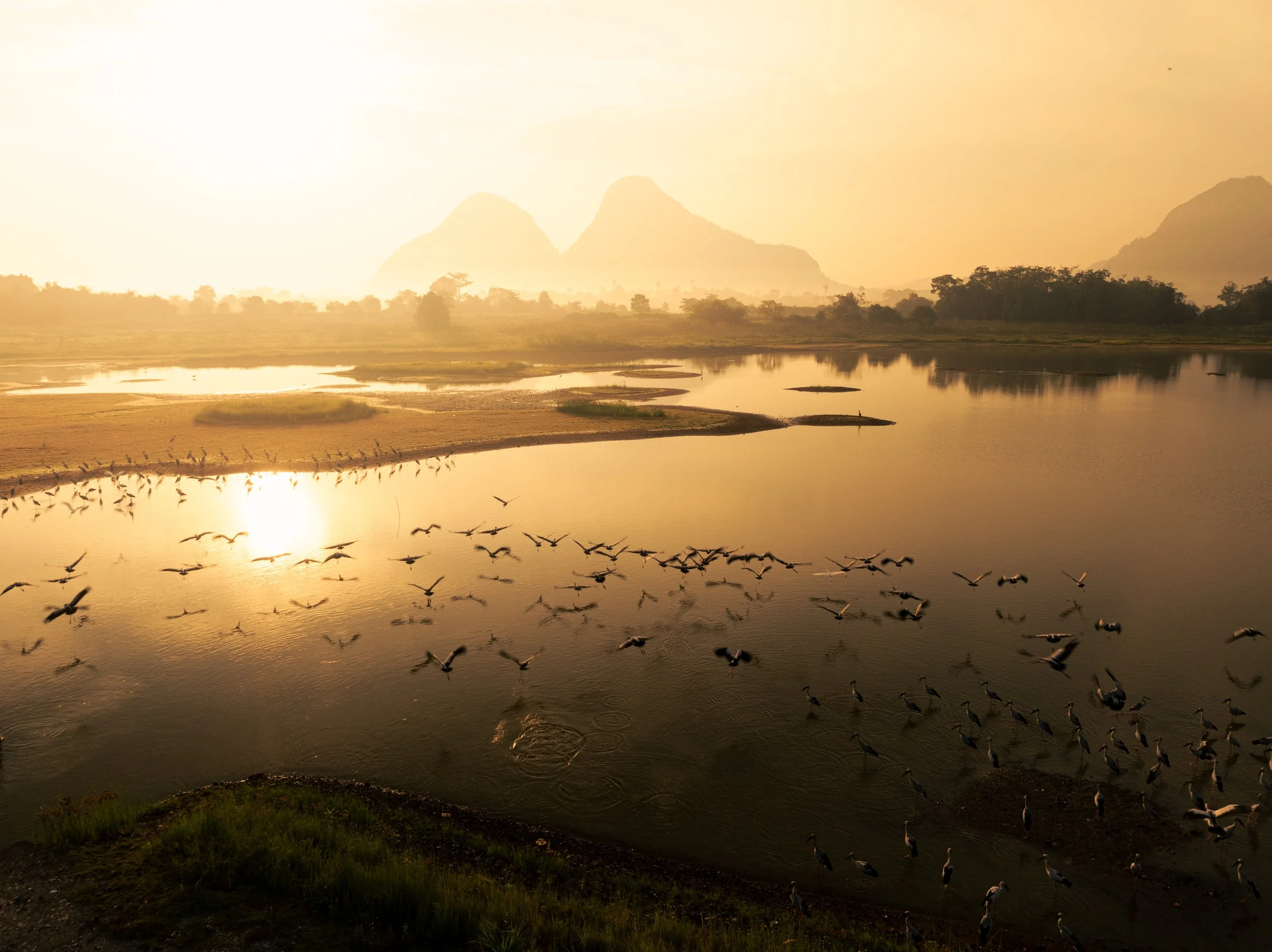 Perlis, Malaysia — A flock of birds lifts off the wetlands at golden hour, limestone peaks dissolving into amber haze behind. The kind of frame that exists for about thirty seconds — and then it's gone.