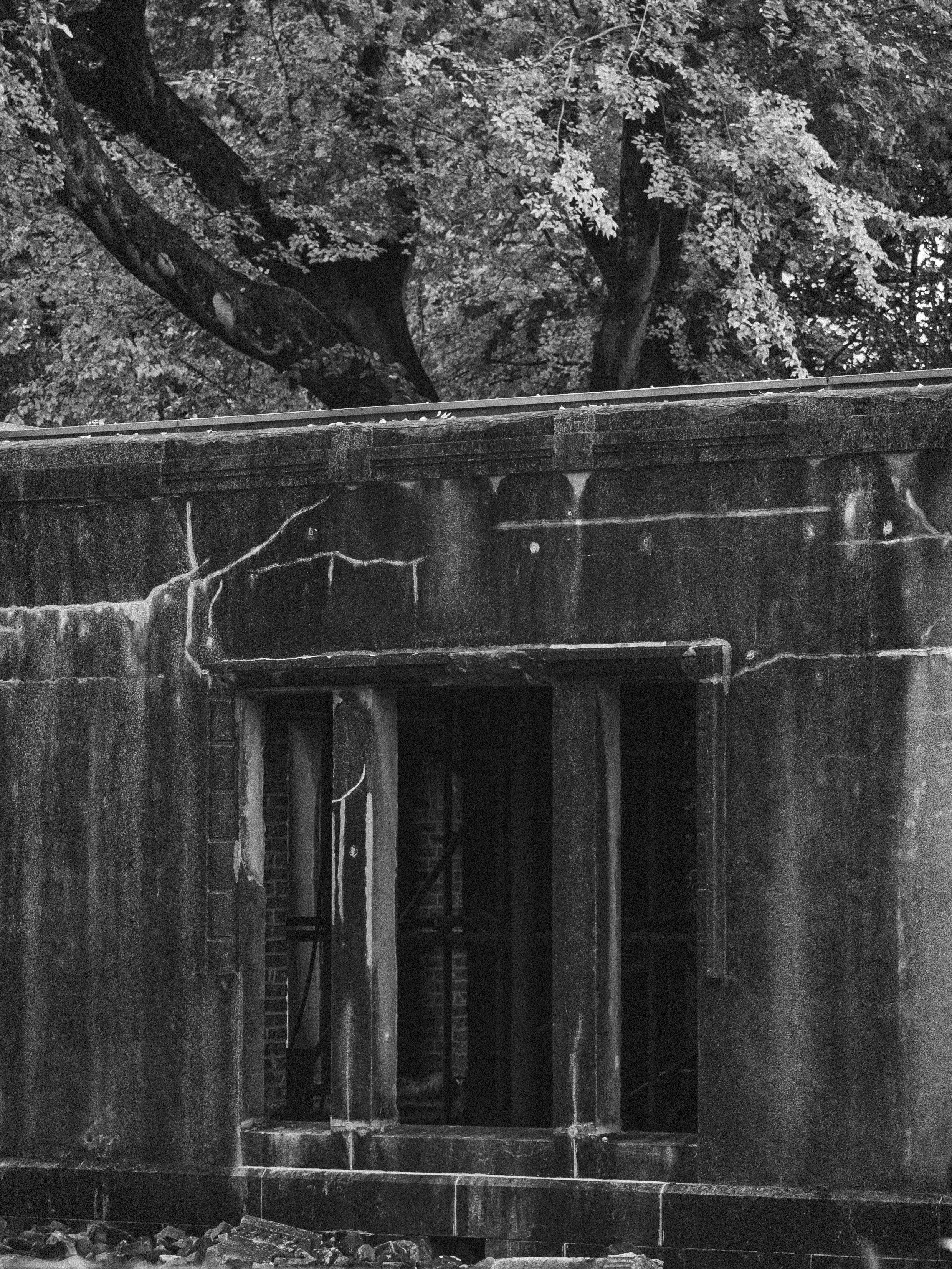 A blackened, cracked wall of the A-Bomb Dome stands silent beneath the canopy of surrounding trees.