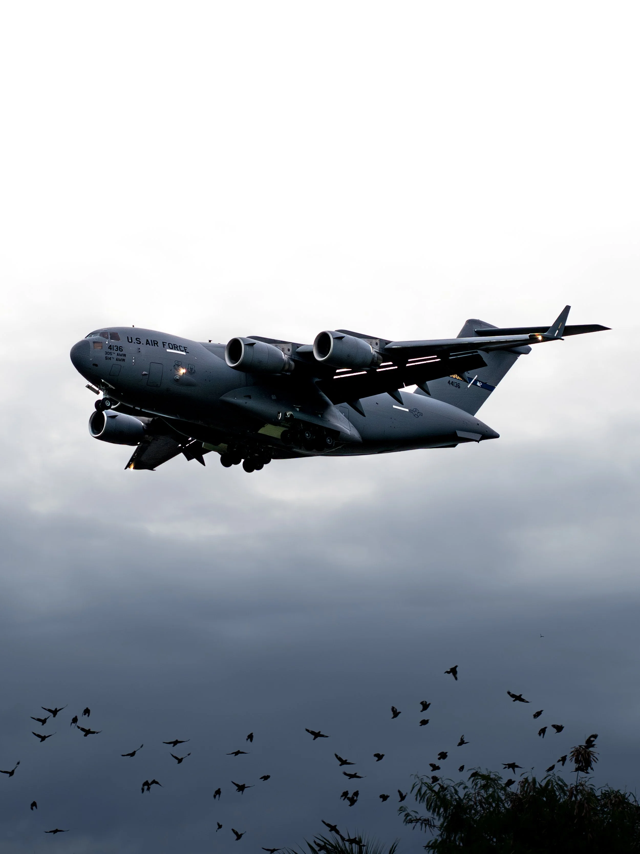 USAF C-17 Globemaster III (4136), Subang (SZB), Selangor — A flock of birds scatters as the C-17 bears down on approach through a brooding sky. Nature and machine sharing the same airspace — unplanned, unrepeatable.