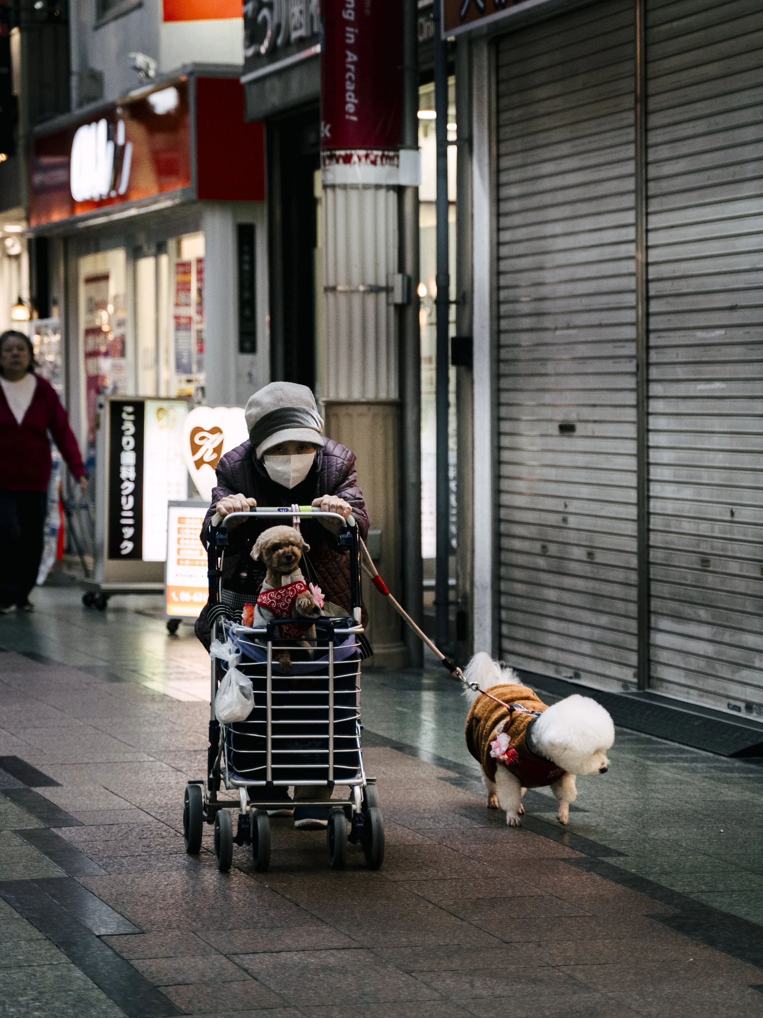 A woman wearing a face mask and a hat pushes a shopping cart with a small brown dog dressed in a red sweater inside. The woman is walking an additional white dog wearing a brown jacket on a leash on a city street.