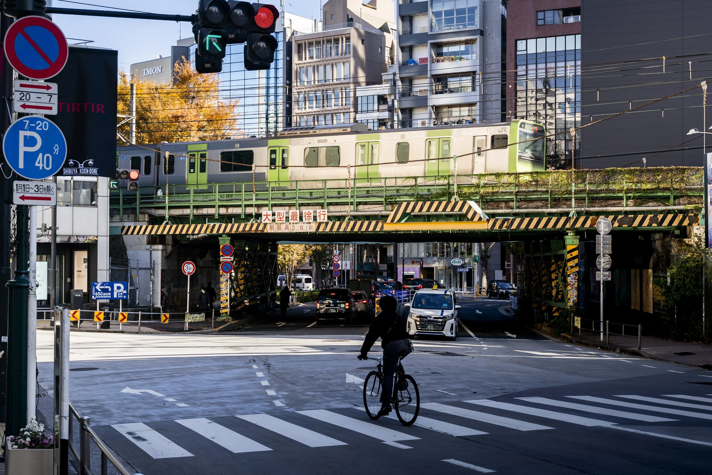 JR Yamanote Line, Shibuya Koen-dori, Tokyo — The iconic green Yamanote crosses overhead as a lone cyclist waits at the intersection below, autumn ginkgo trees burning gold behind the viaduct. Three layers of Tokyo in a single frame.