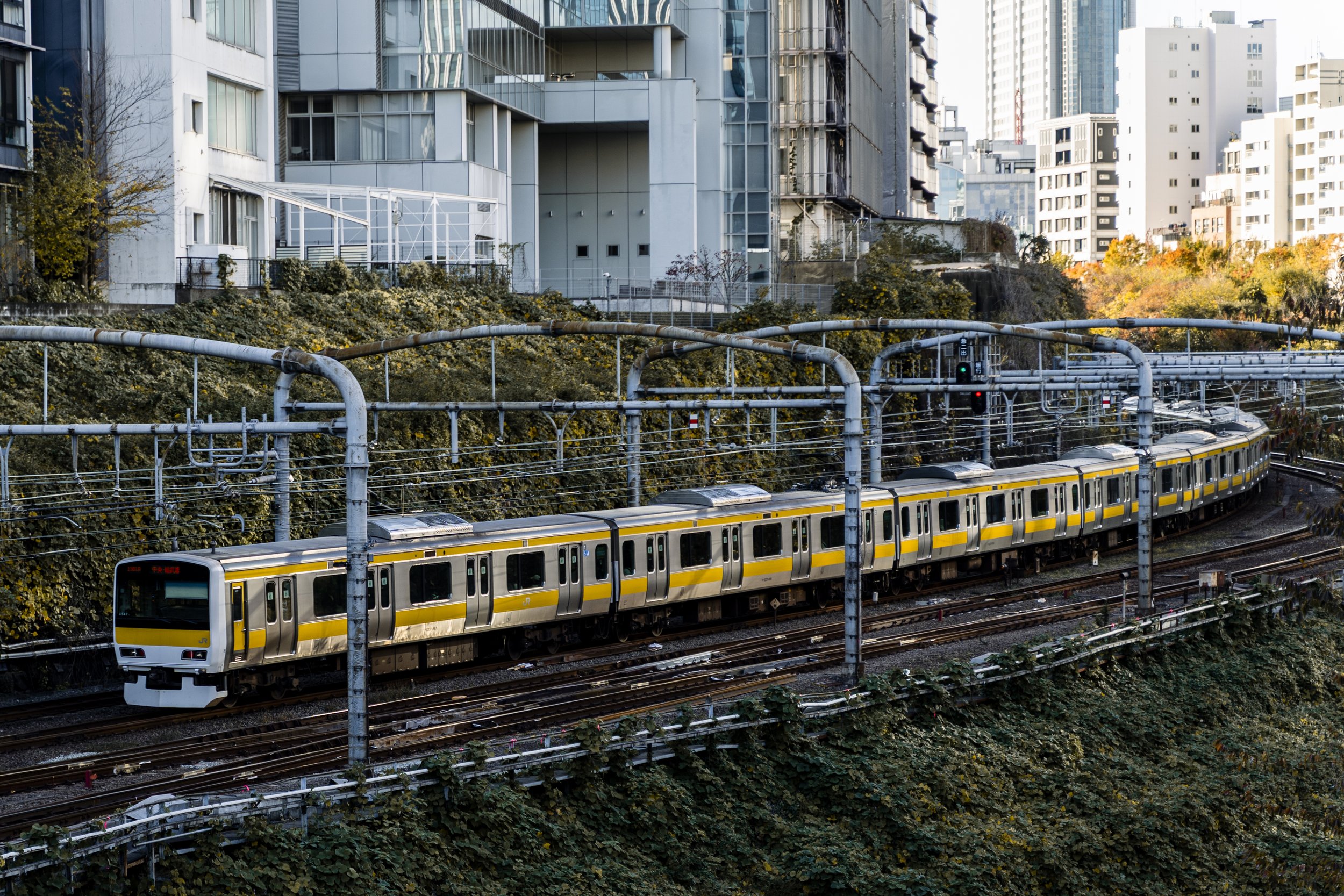JR Chuo-Sobu Line E231, Hijiri Bridge, Tokyo — The yellow Sobu Line curves through the rail corridor below, autumn foliage pressing against the embankment walls. One of Tokyo's most photographed rail vantage points — and for good reason.