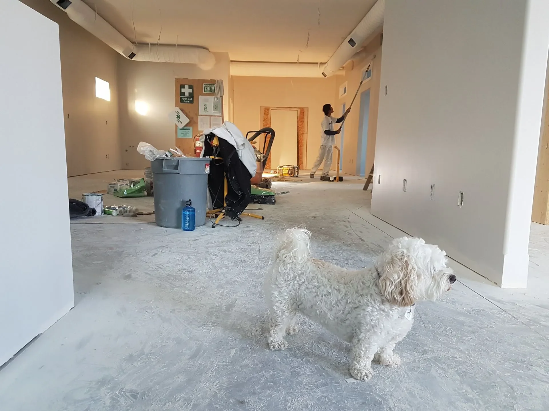 Discover the Best Cleaning Services in London: Your Trusted Cleaning Experts