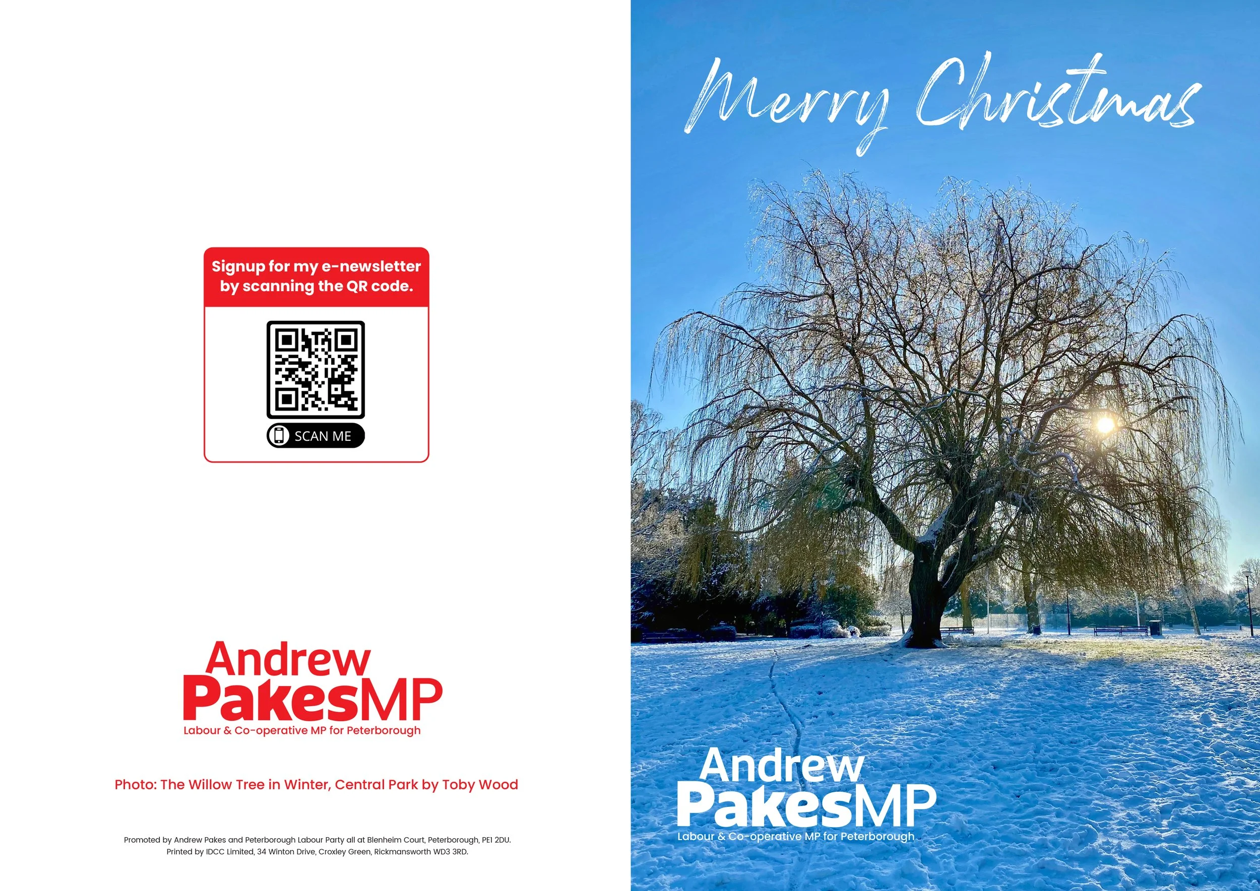 The image shows two festival posters for Andrew Pakes MP, one in the winter and one in the summer. The winter poster features a photograph of a snow-covered park with a large, leafless tree, and the summer poster shows a clear sky with a tree with so