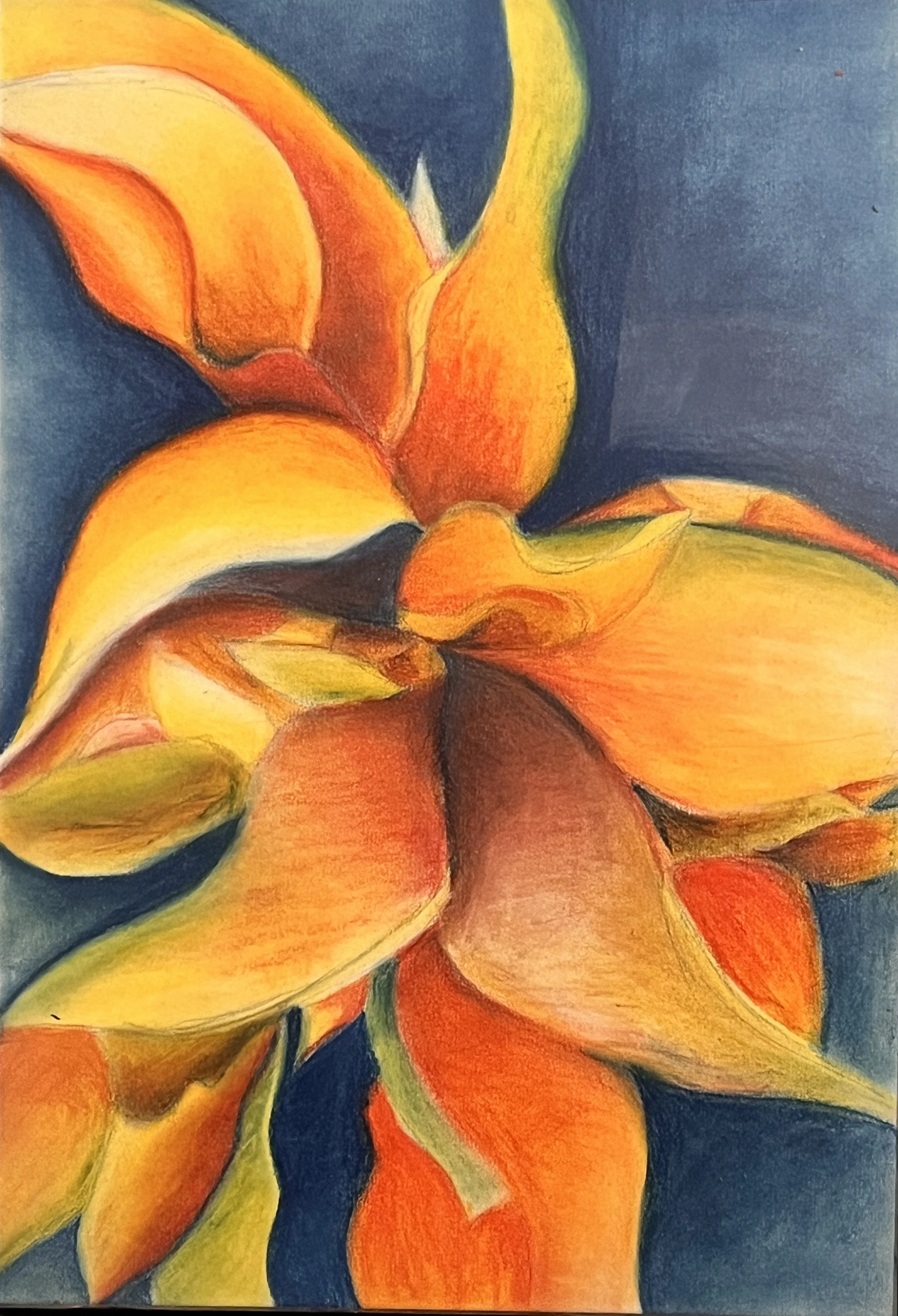 Orange Contrast.jpg