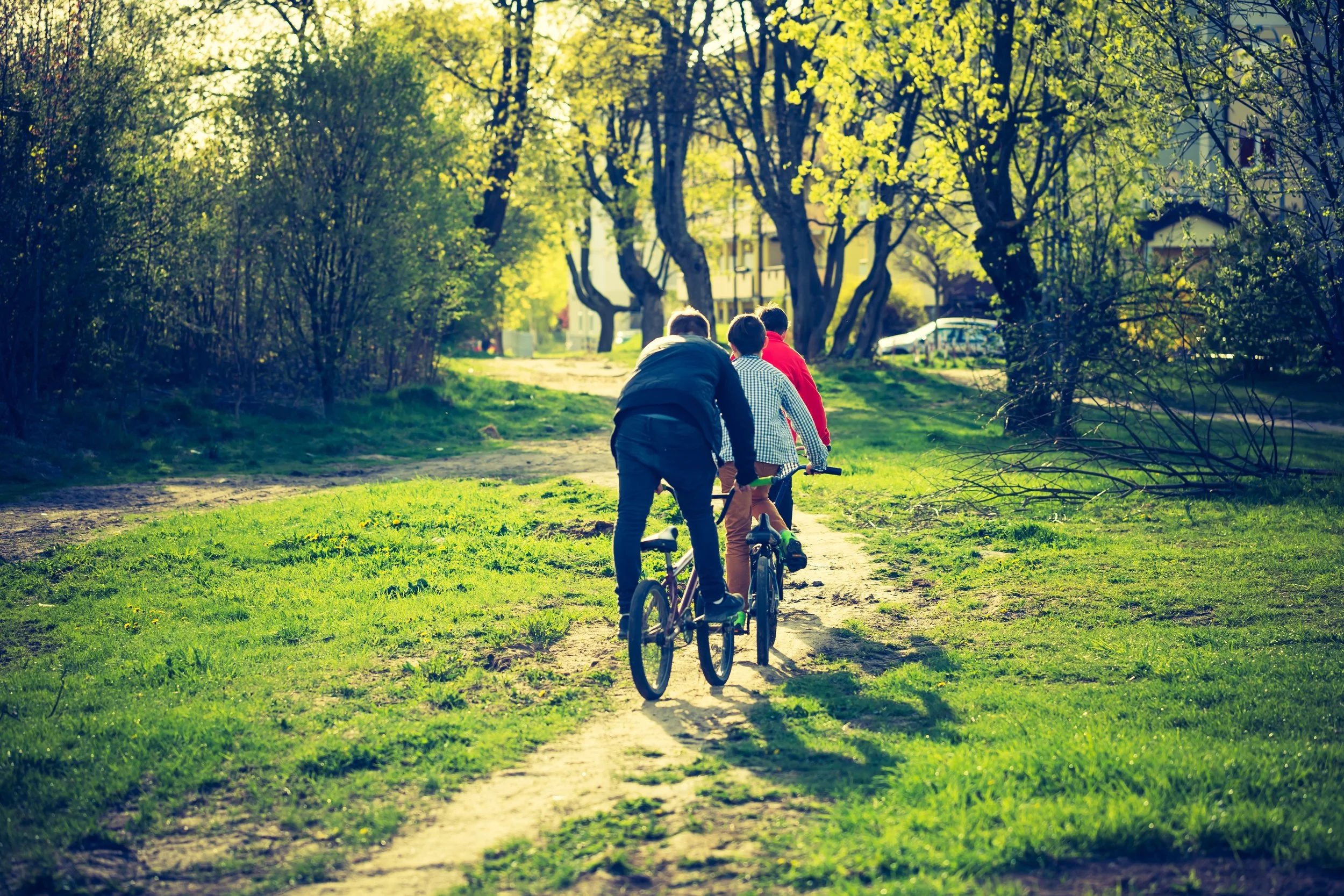 Three children riding bicycles on a sunny park path surrounded by trees with green leaves.