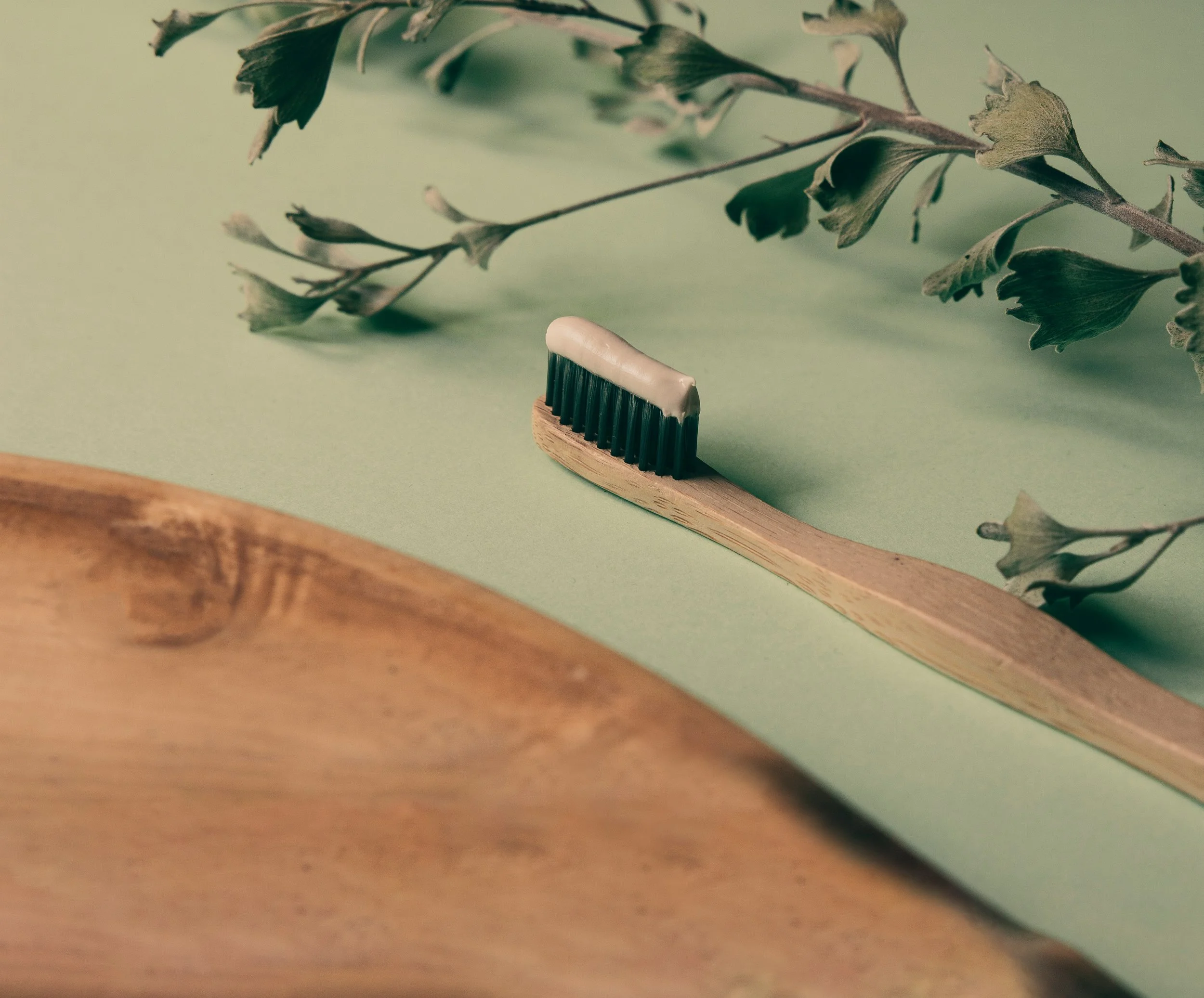 Fluoride Free Probiotic Toothpaste Original