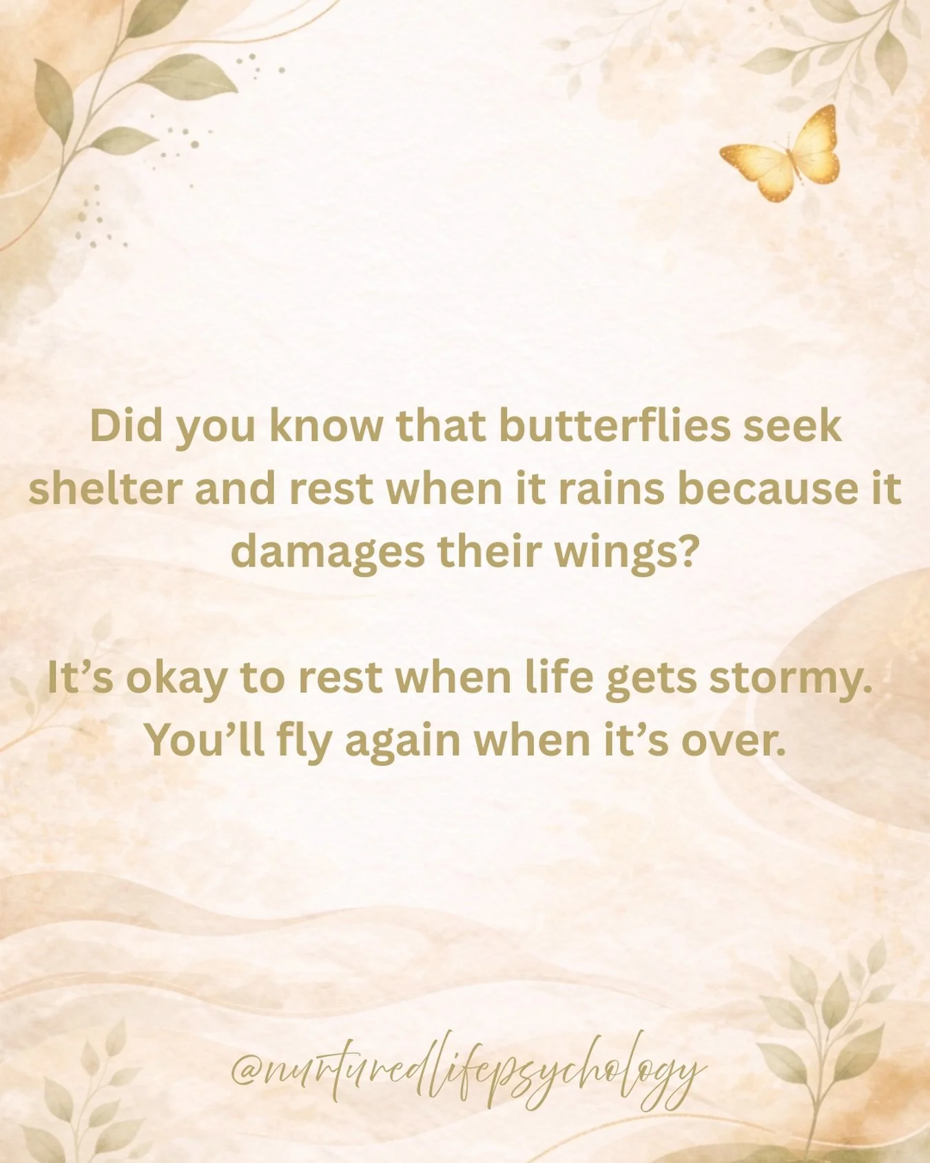 Butterflies don&rsquo;t fly in the rain. 
They find somewhere safe to rest, protect their wings, and wait for the storm to pass. Not because they&rsquo;re weak, but because they&rsquo;re wise enough to know that rest helps them to be able to fly agai