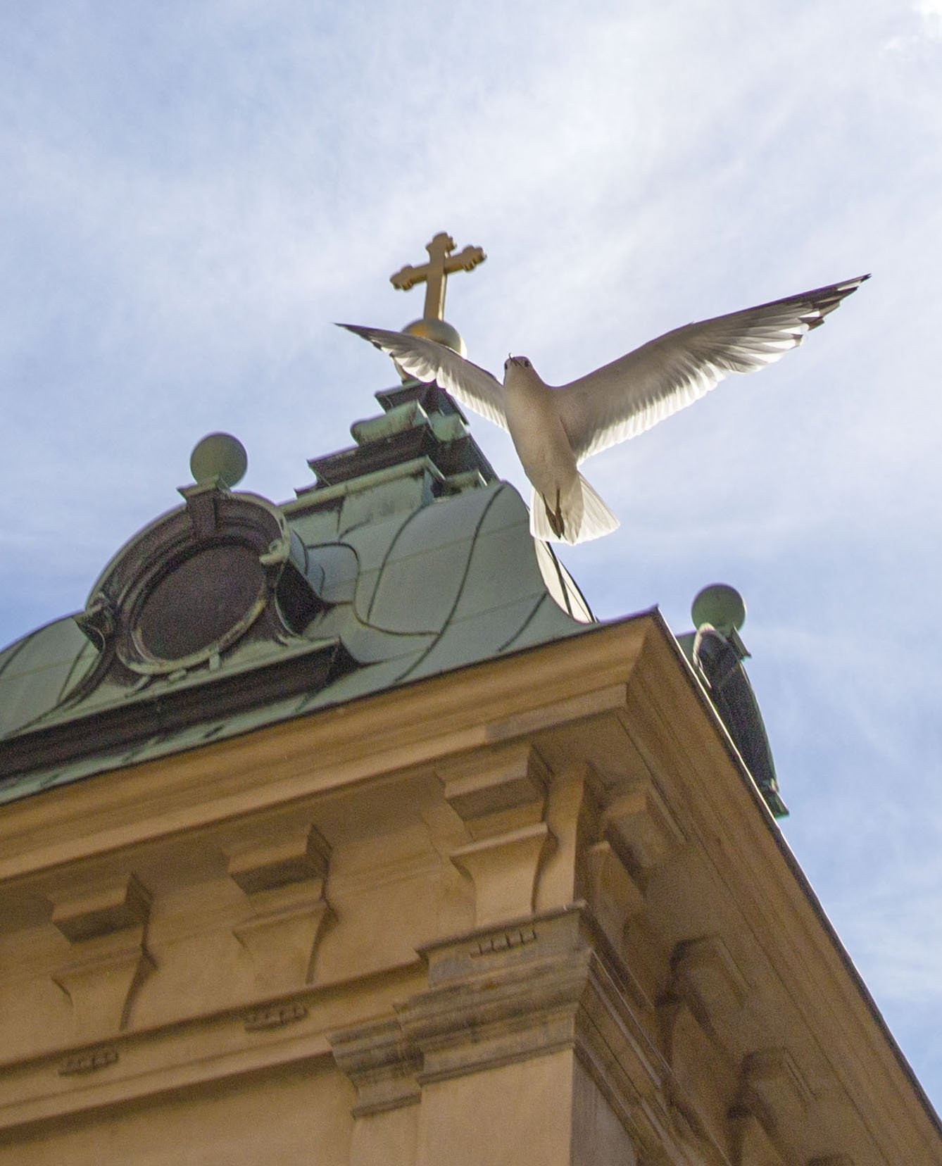 IMG_3126_Dove.jpg