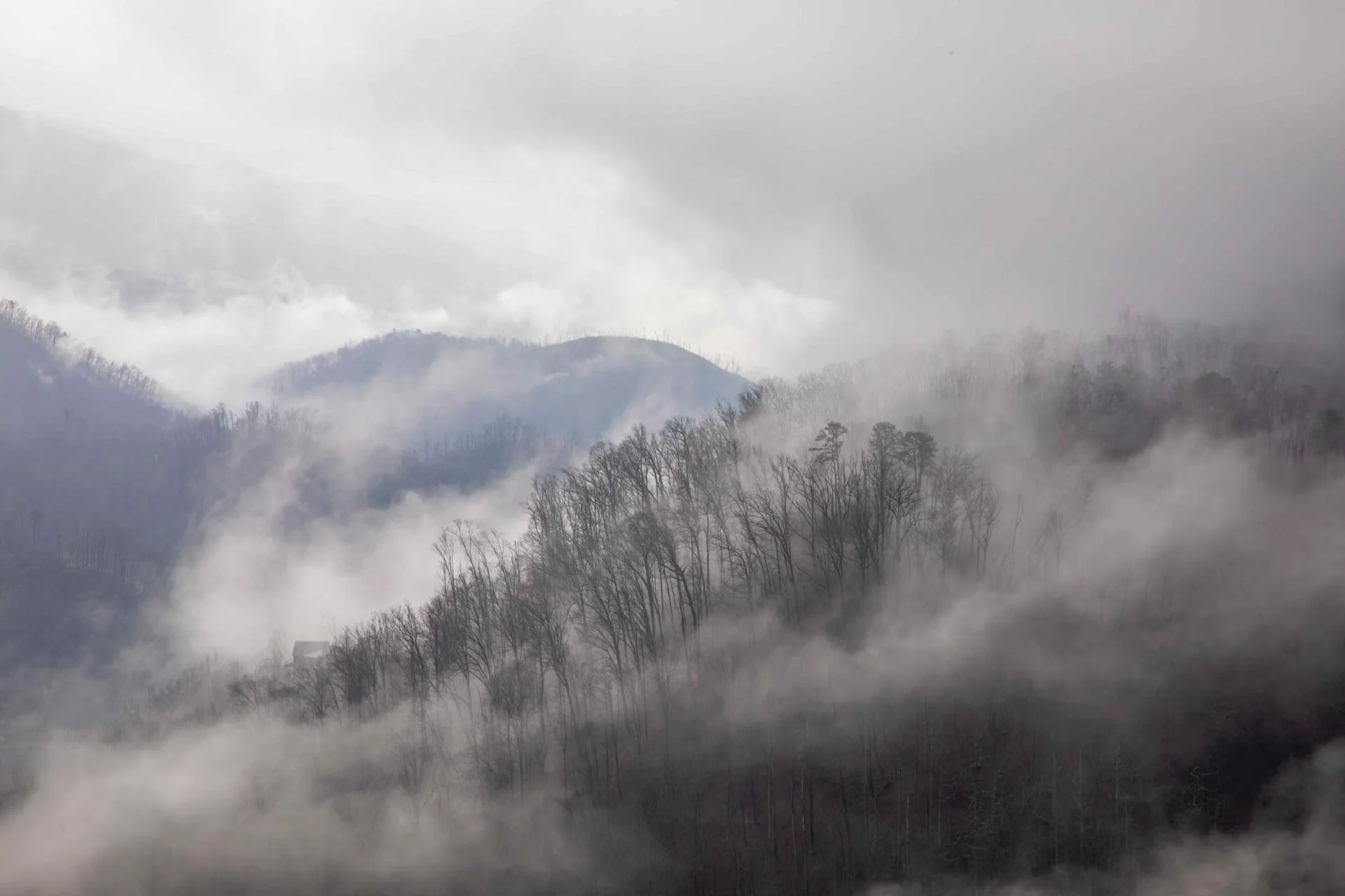 Smoky Mountains, TN