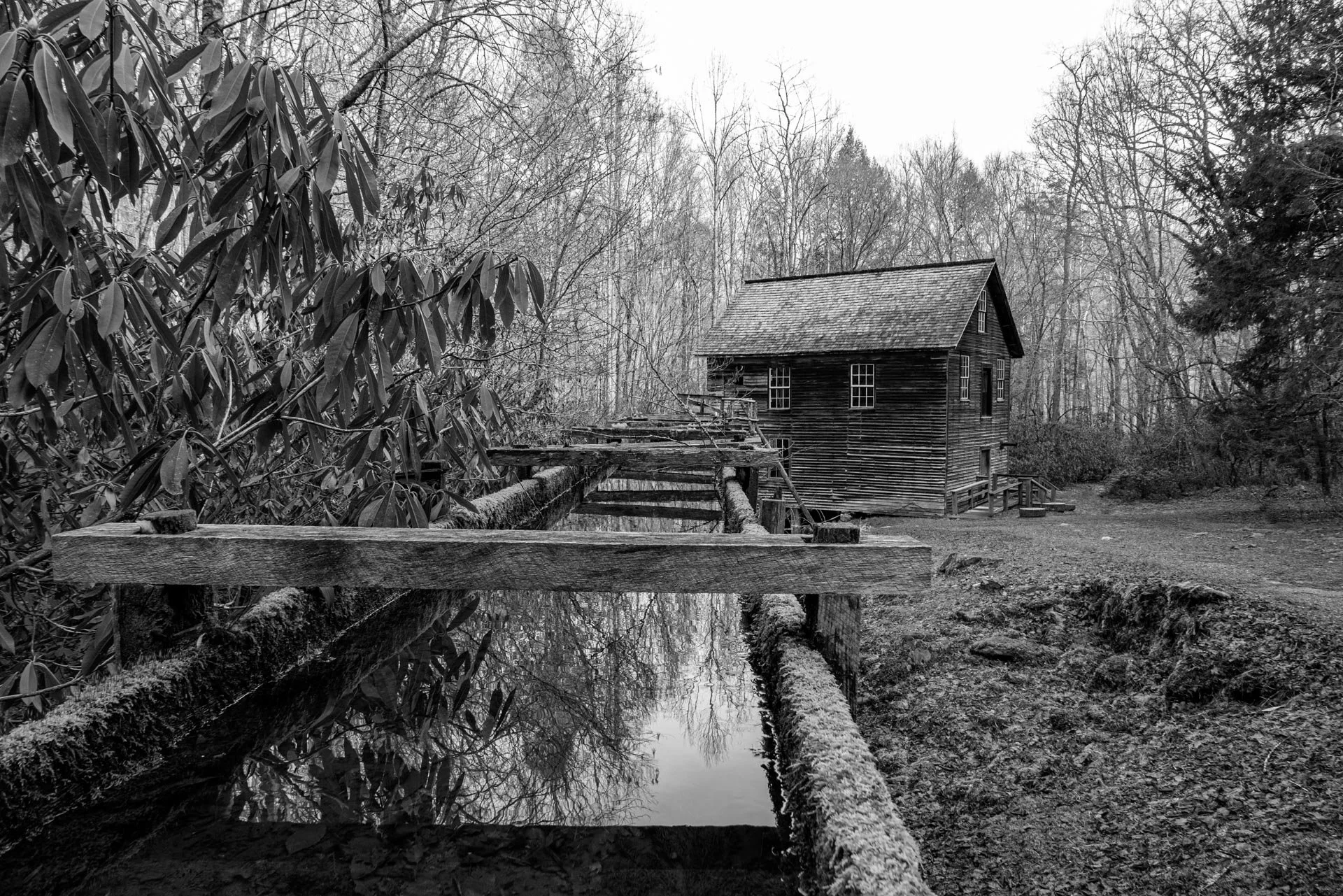 Mingus Mill, TN