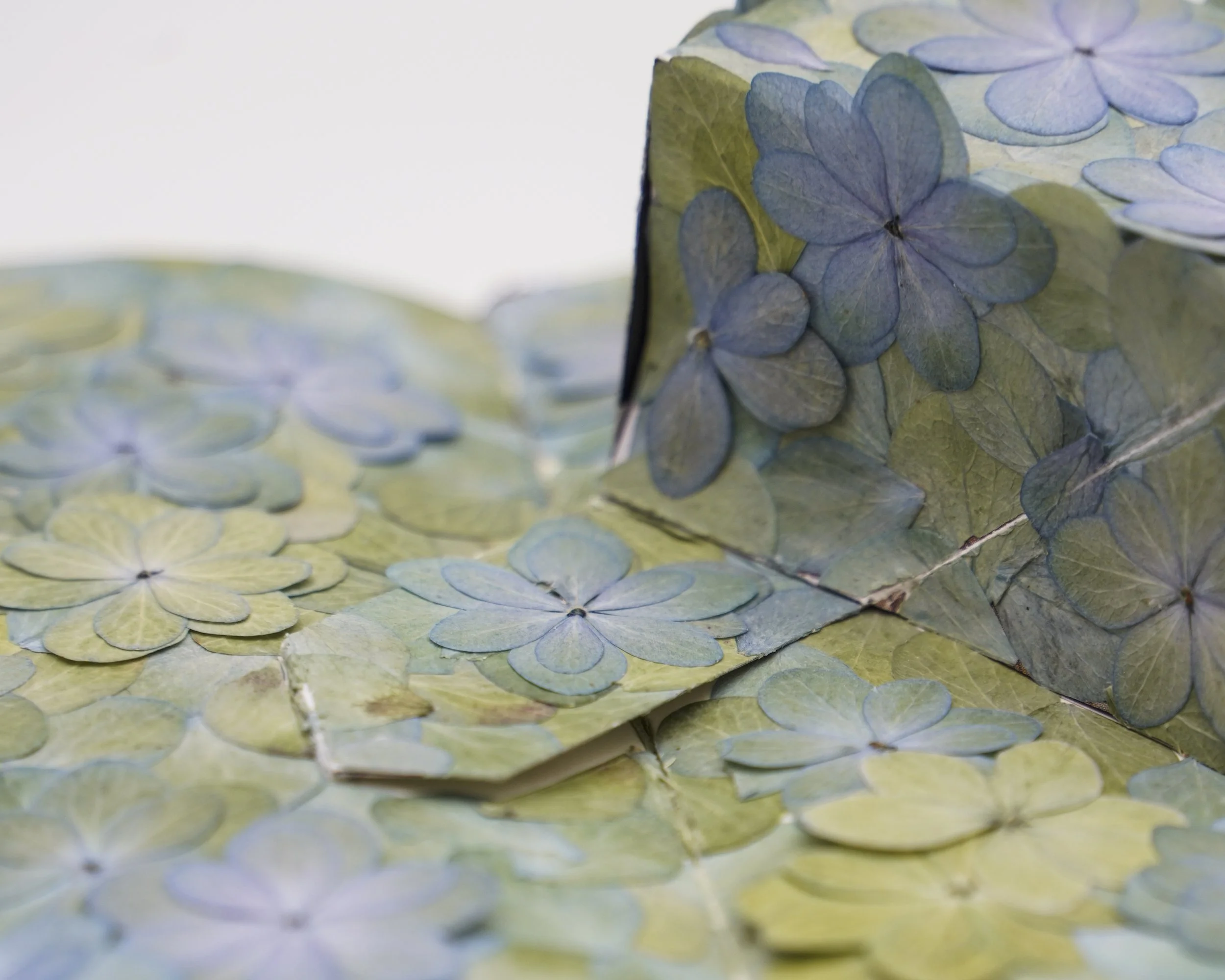 Numero 51 - It_s all Paperwork - Yansu Wang-29.jpg