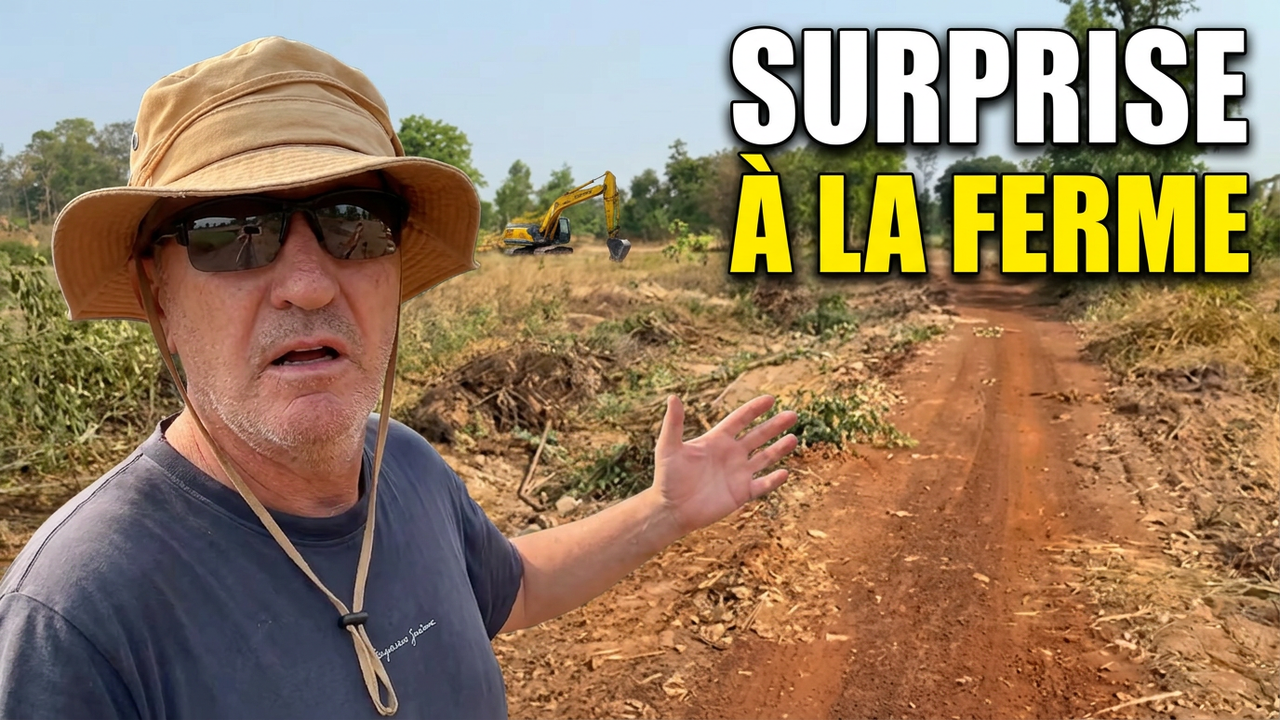 Surprise en arrivant à la ferme… 