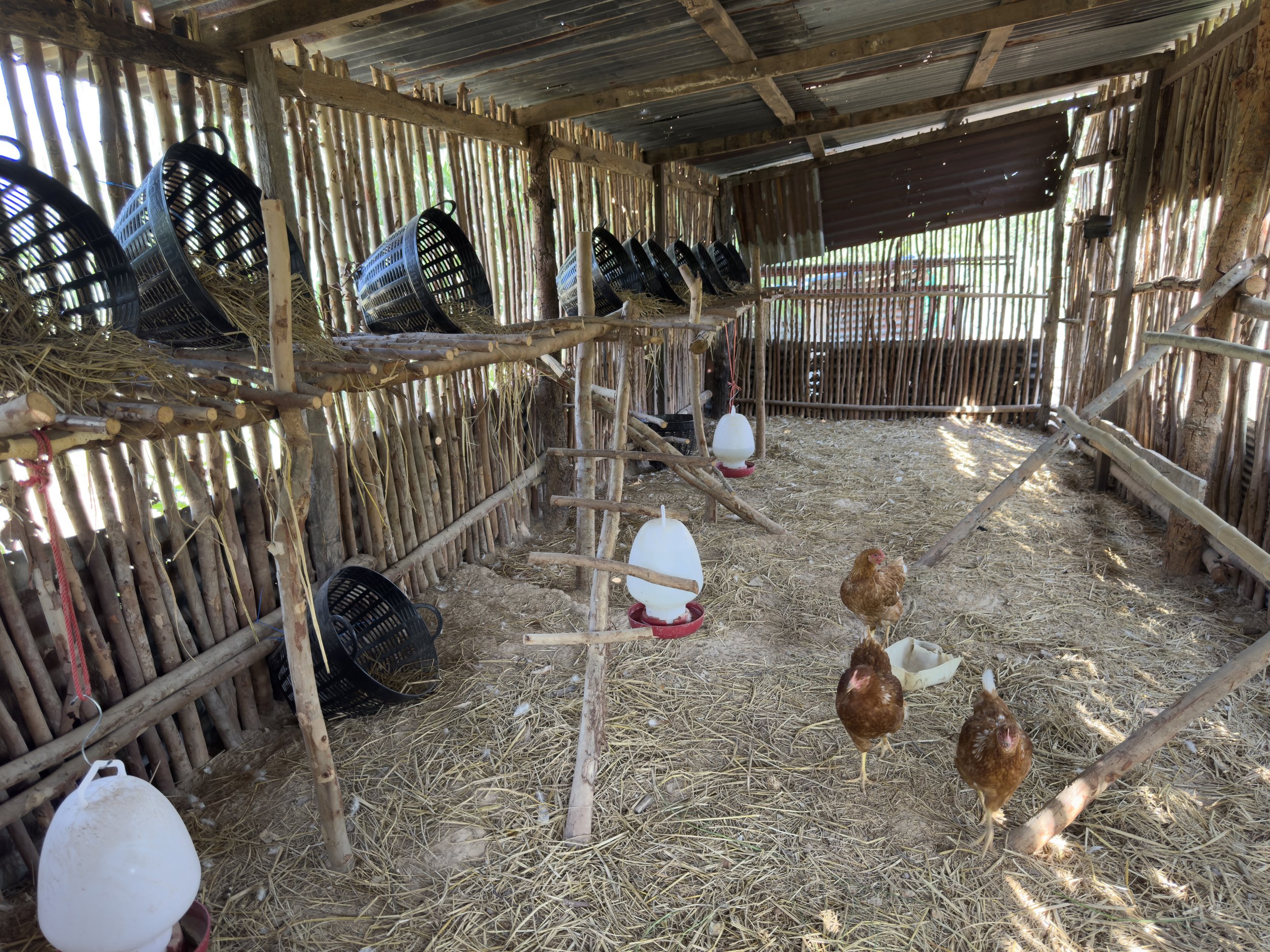 IMG_1018_LukyMeet_Organic_Farm.jpg