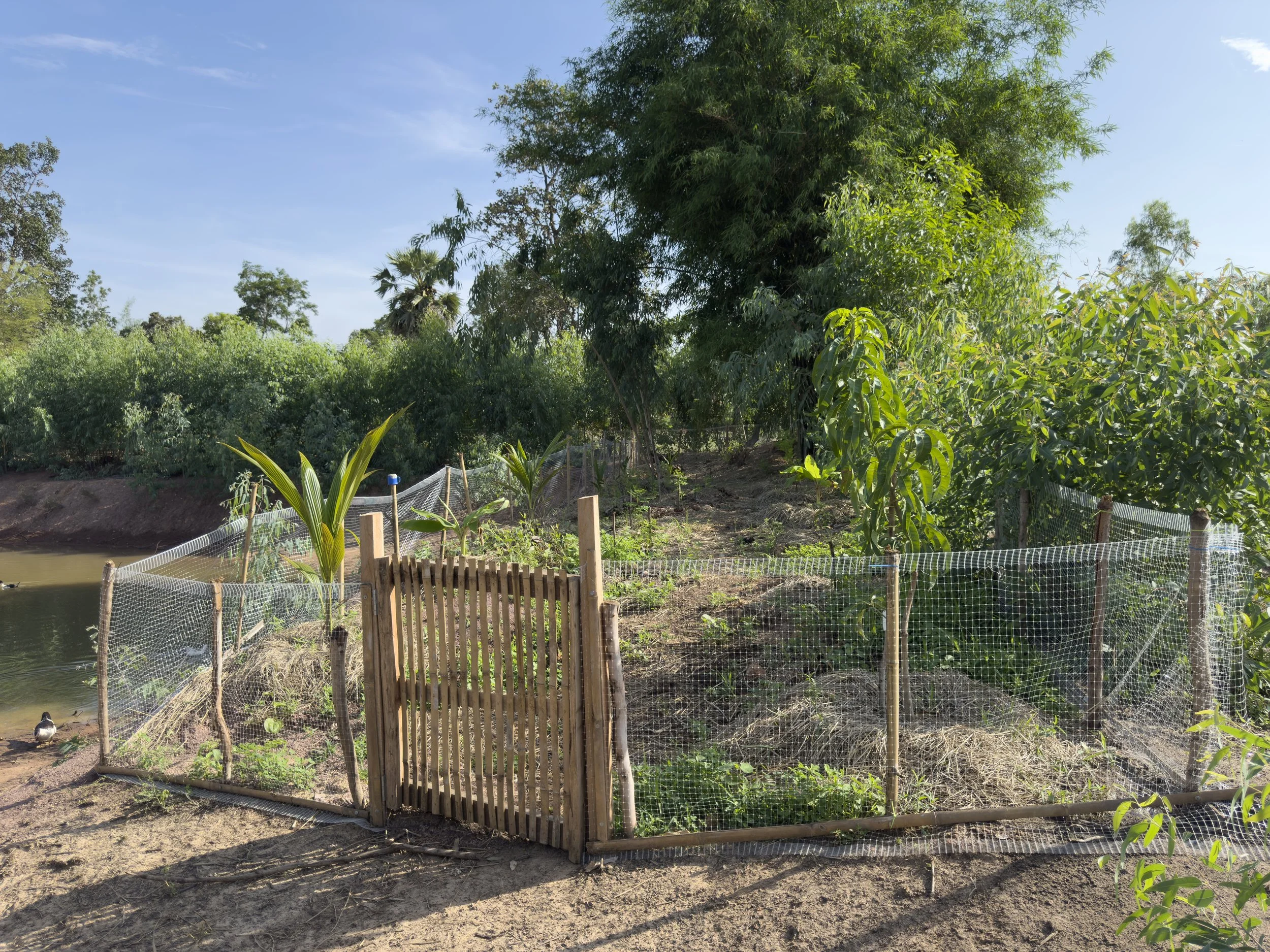 IMG_1022_LukyMeet_Organic_Farm.jpg