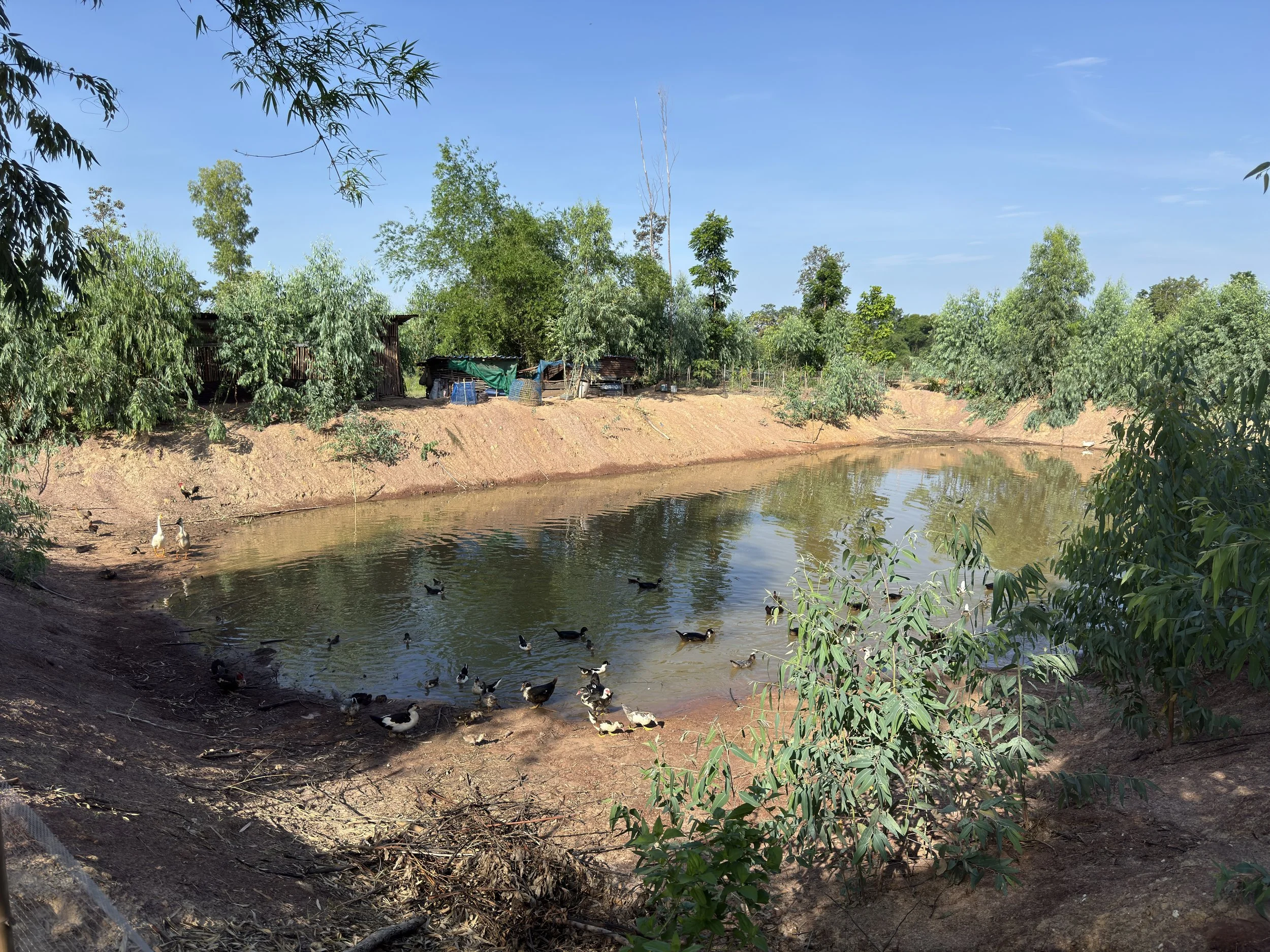 02_IMG_0996_LukyMeet_Organic_Farm.jpeg