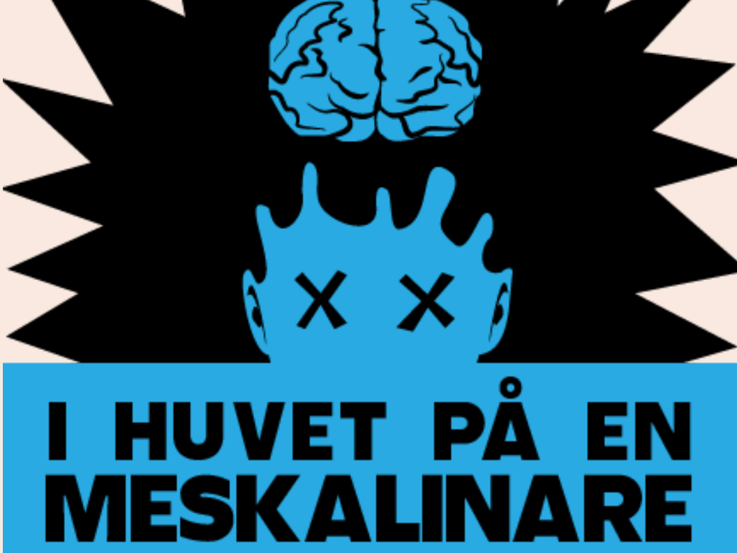 I Huvet På en Meskalinare
