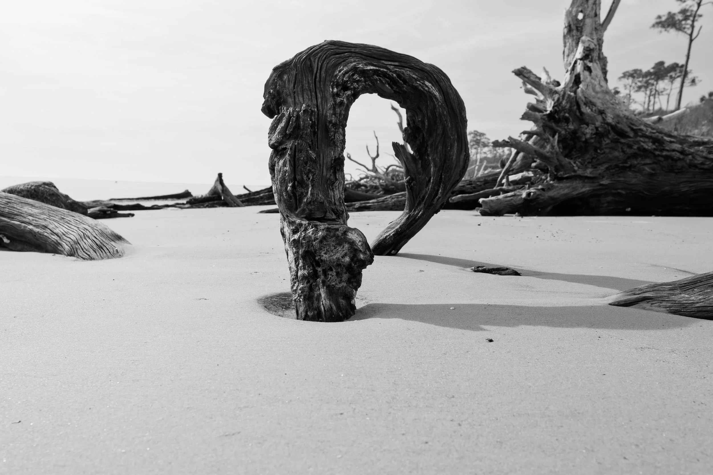 DSC_2828-2.jpg