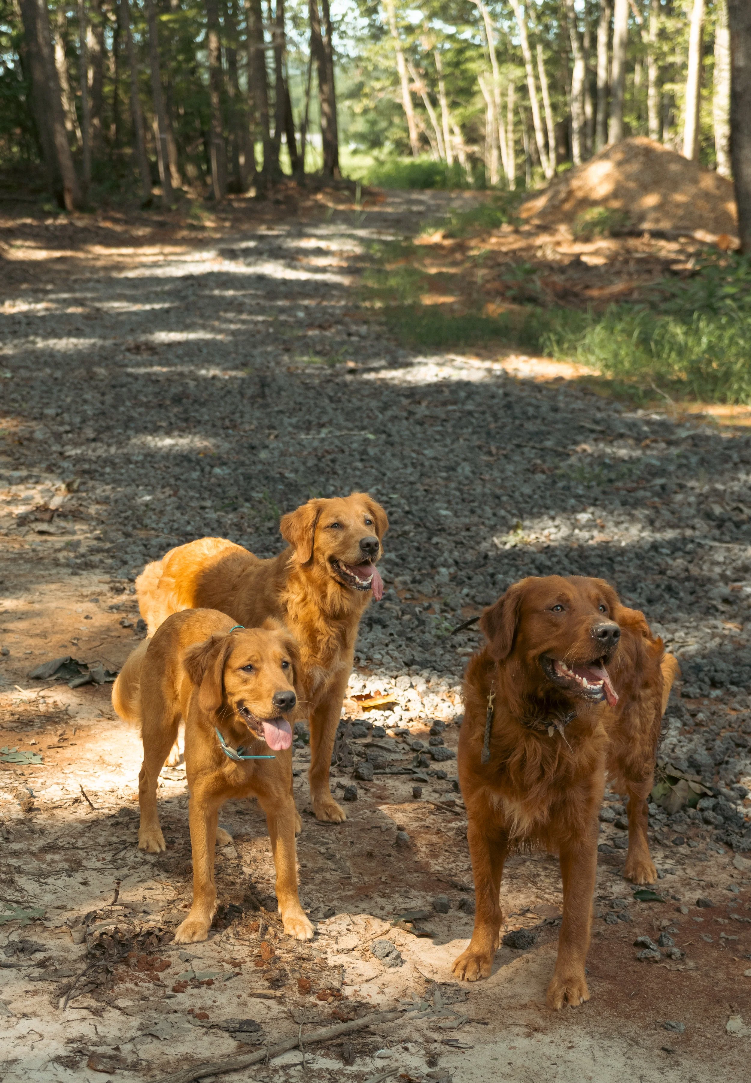 DSC_7852.jpg
