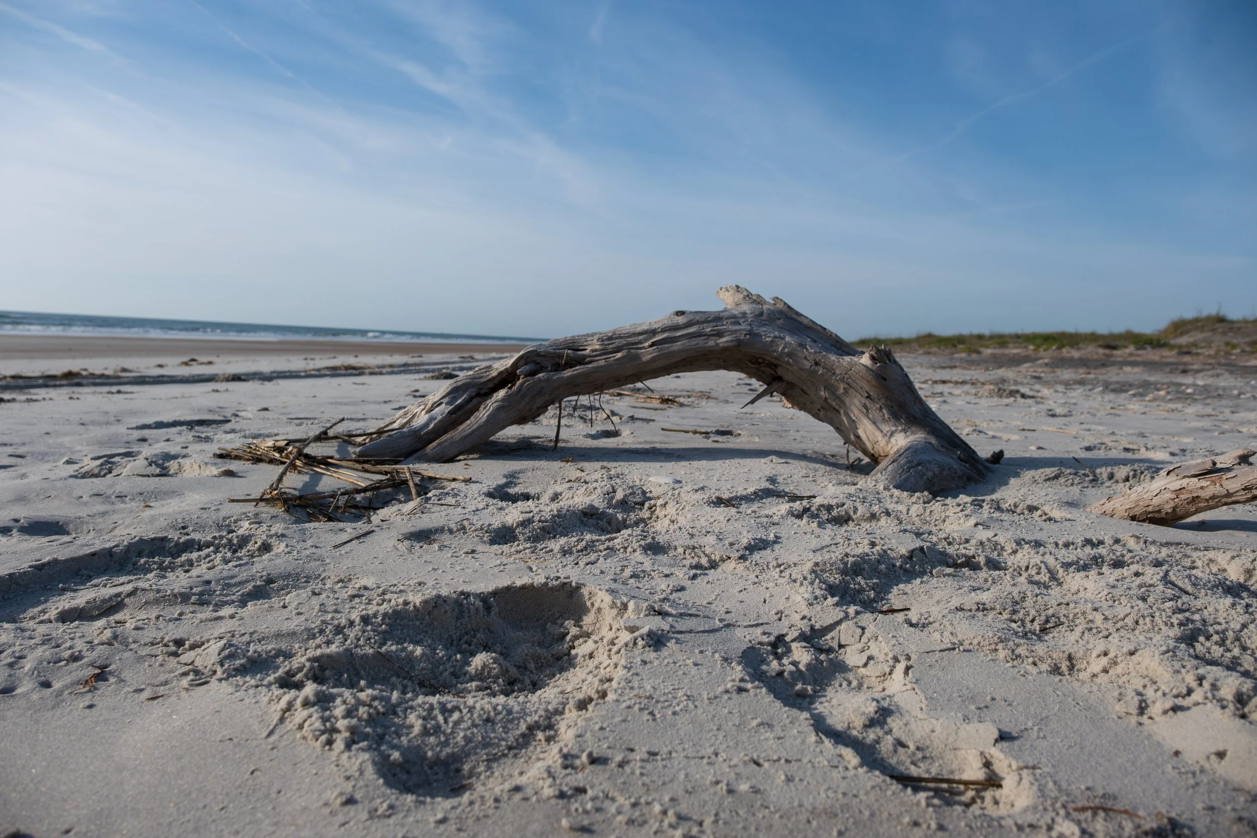 DSC_2762-2.jpg