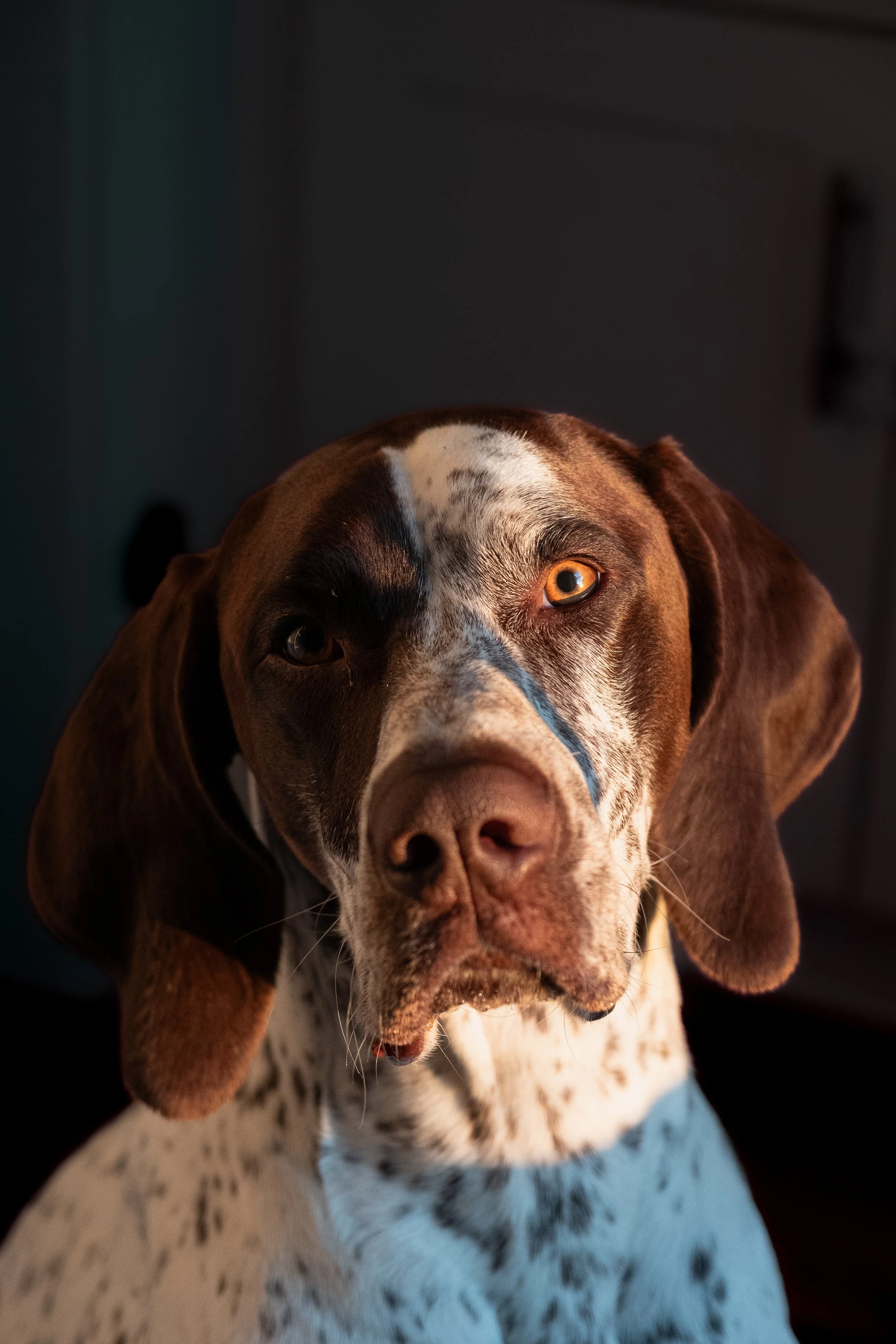 DSC_4123.jpg
