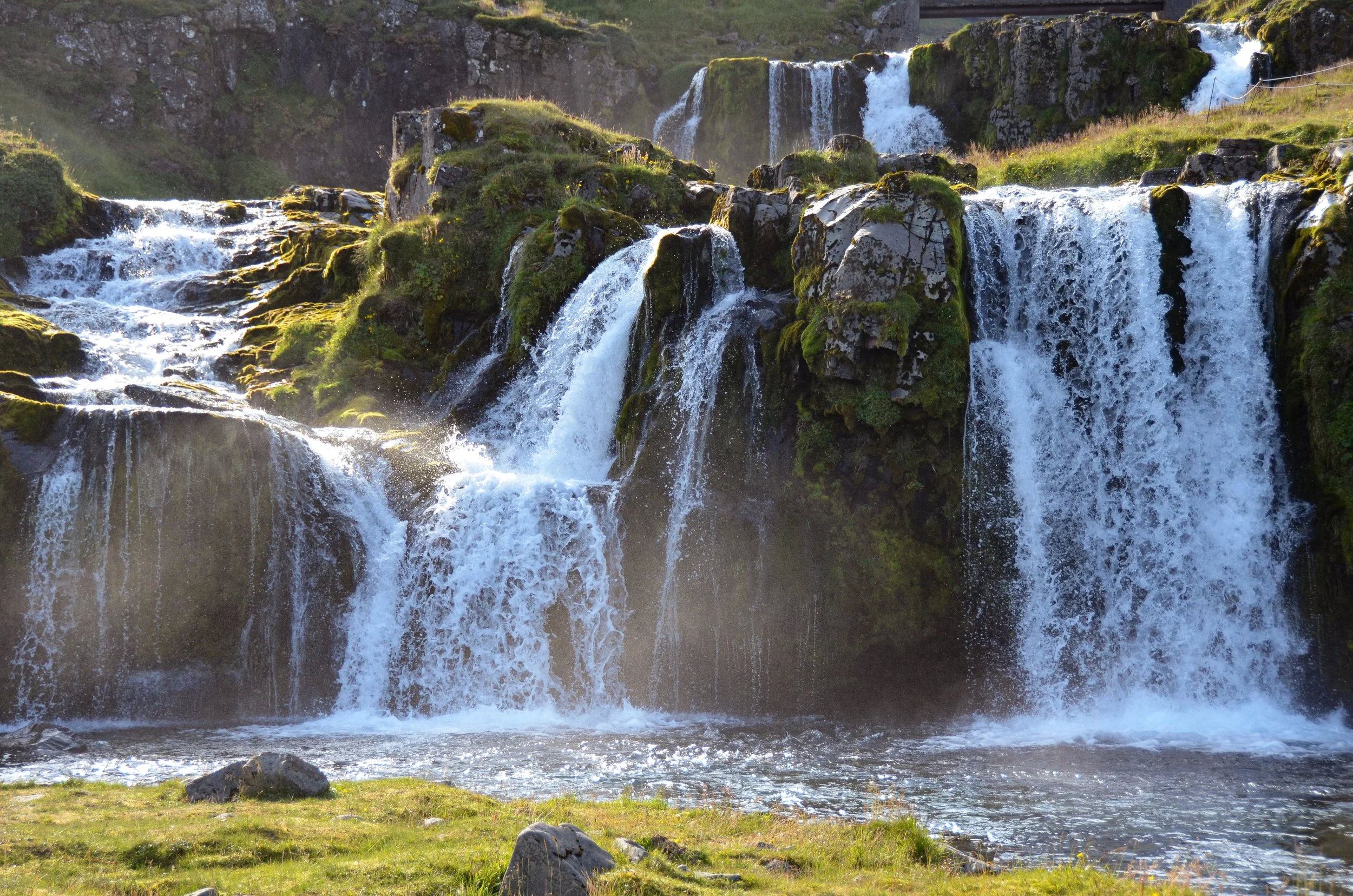 DSC_0201-2.jpg