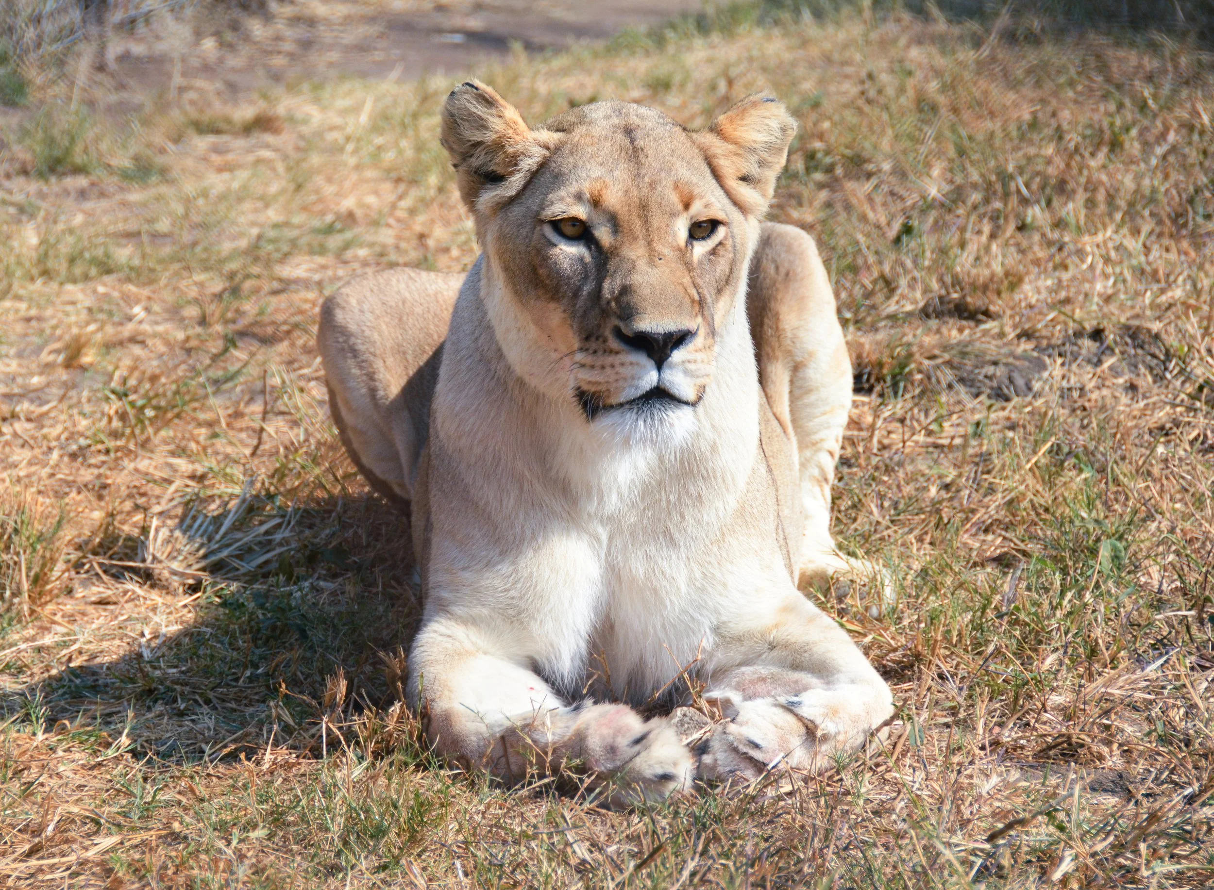DSC_0904-2.jpg