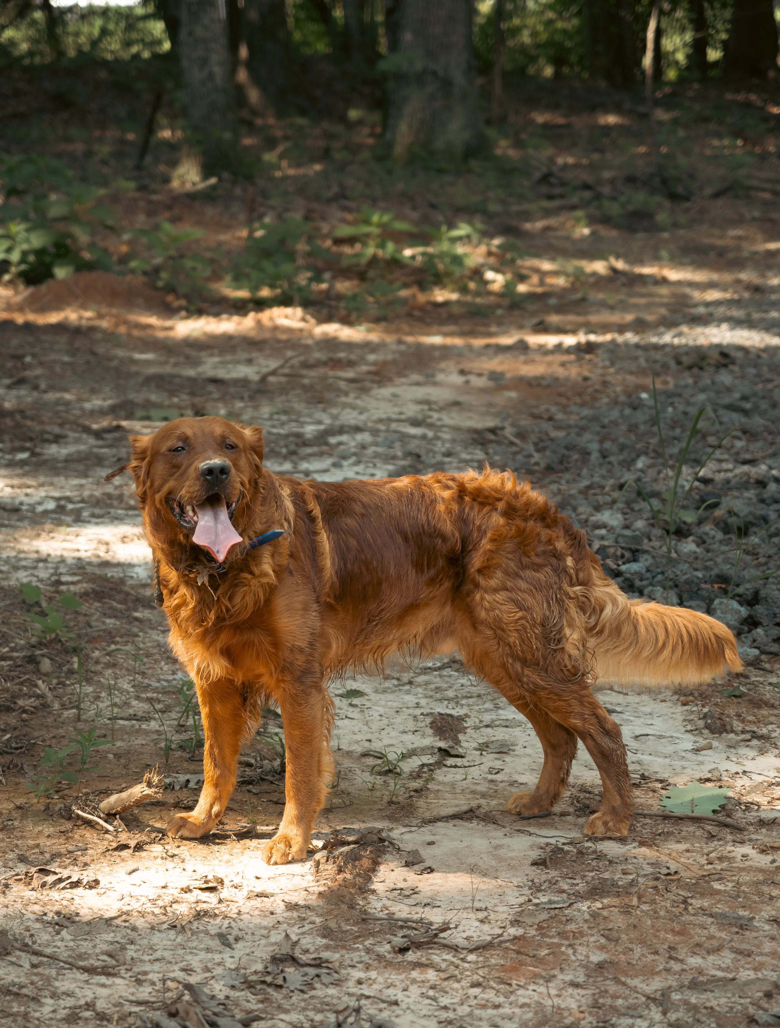DSC_7761.jpg