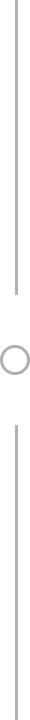 Empty vertical gray background