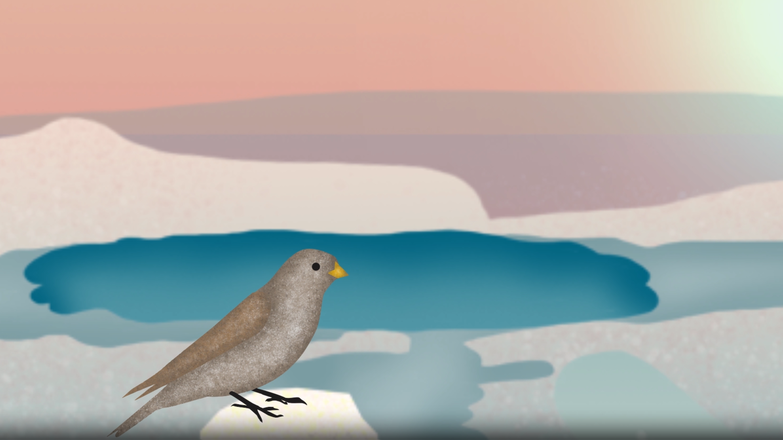geysirbird8.png