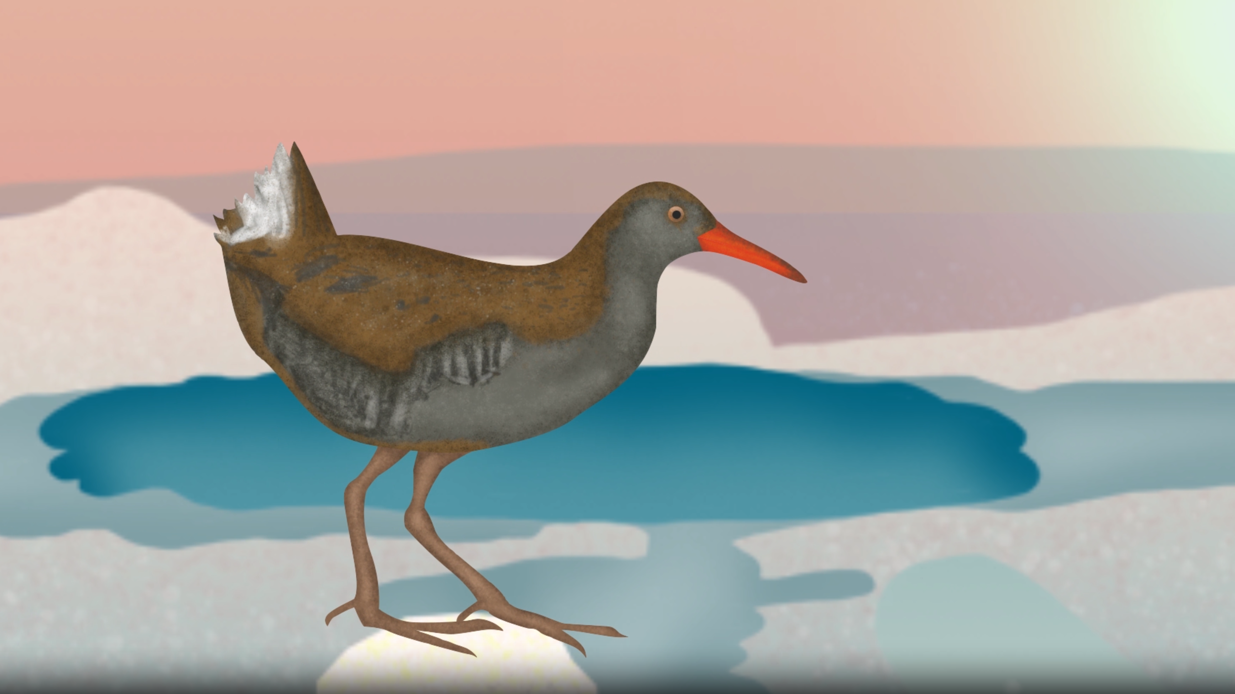 geysirbird5.png