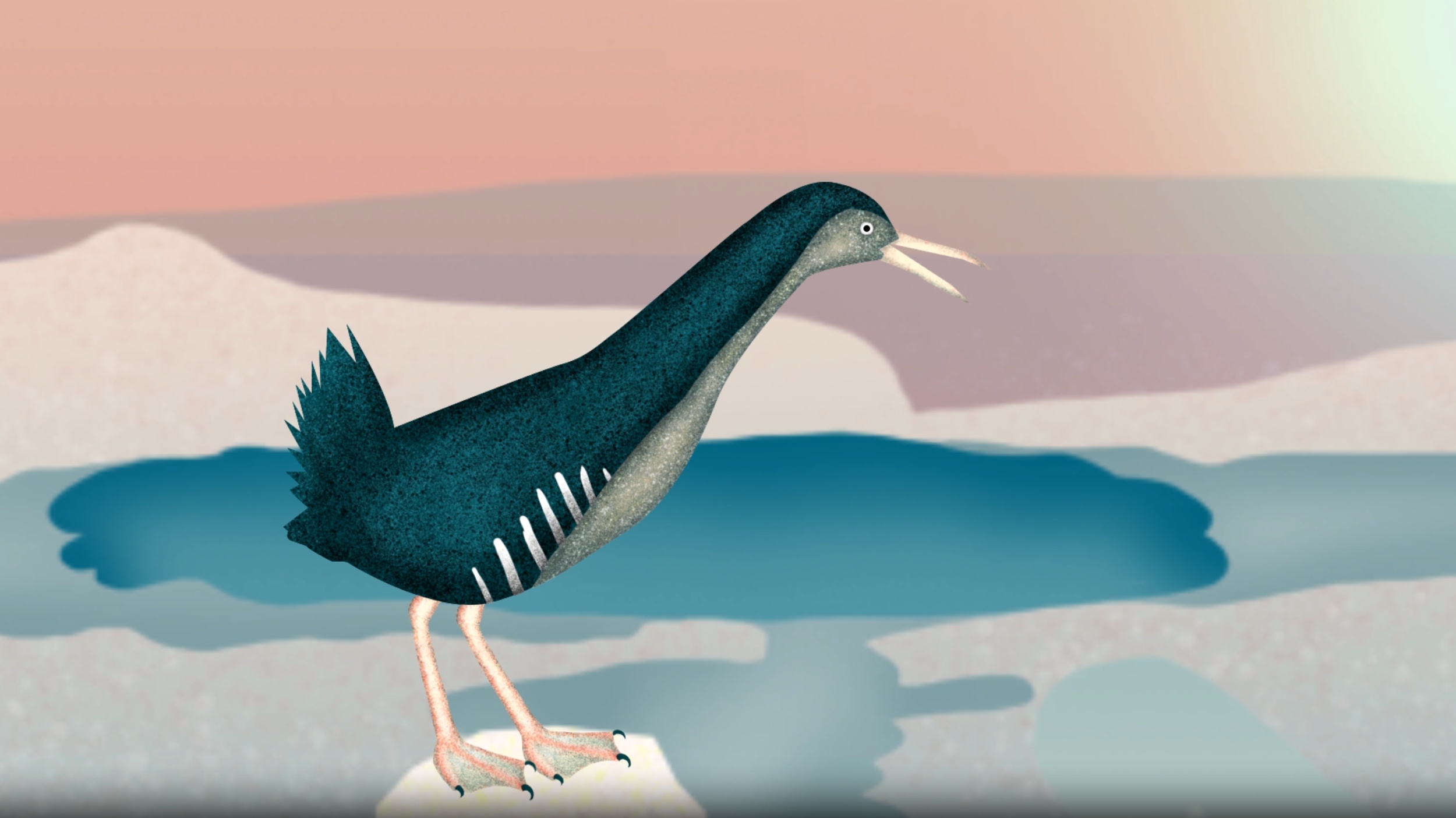 Illustrations made for Geysir Bird animation