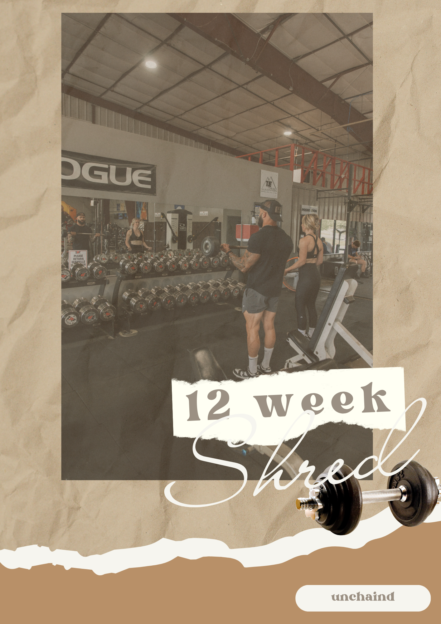 12 week Shred Program.png