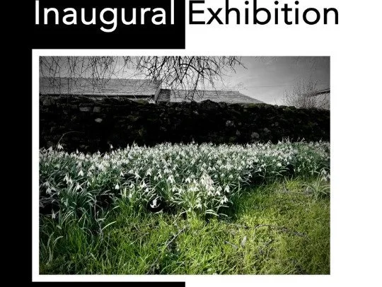 New Beginnings Exhibition: Badger in The Wall