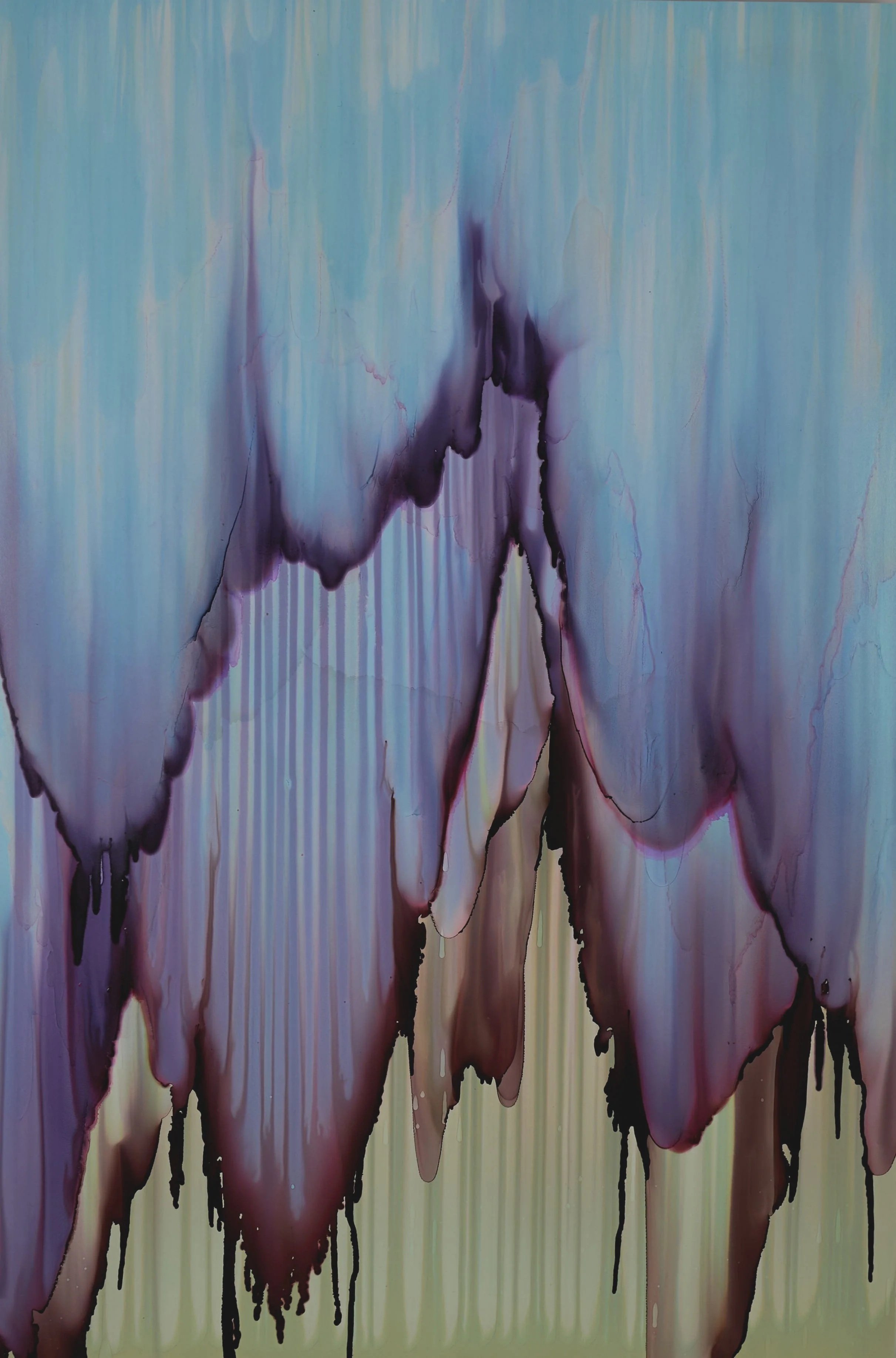 Conversations With Nature