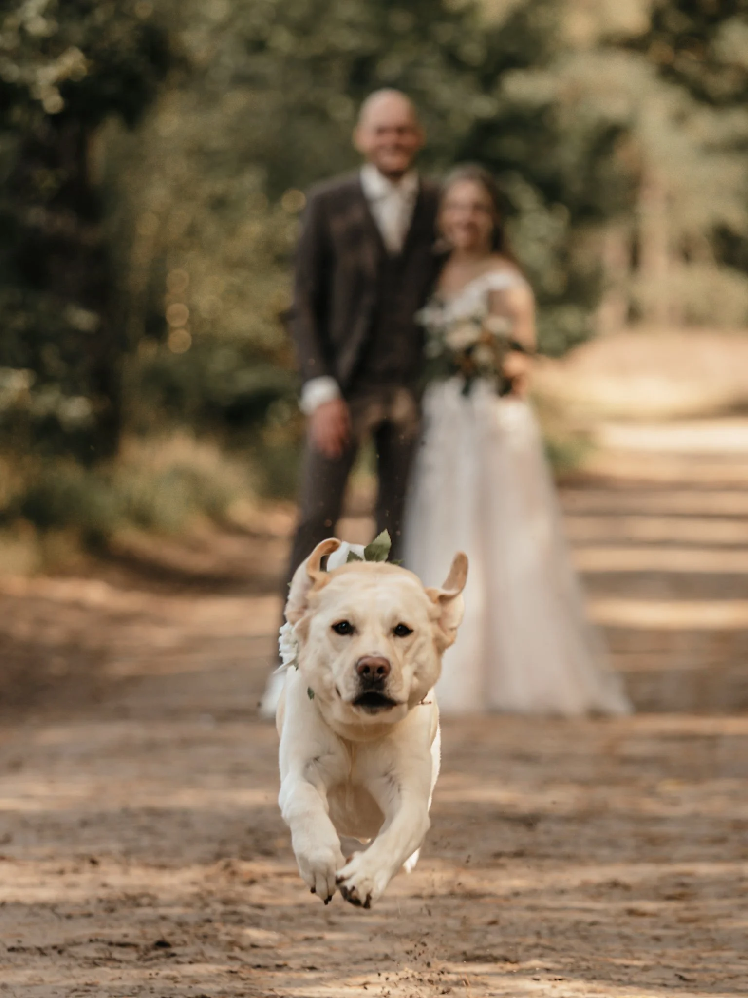 Bruidspaar met Hond trouwreportage op het Lutterzand
