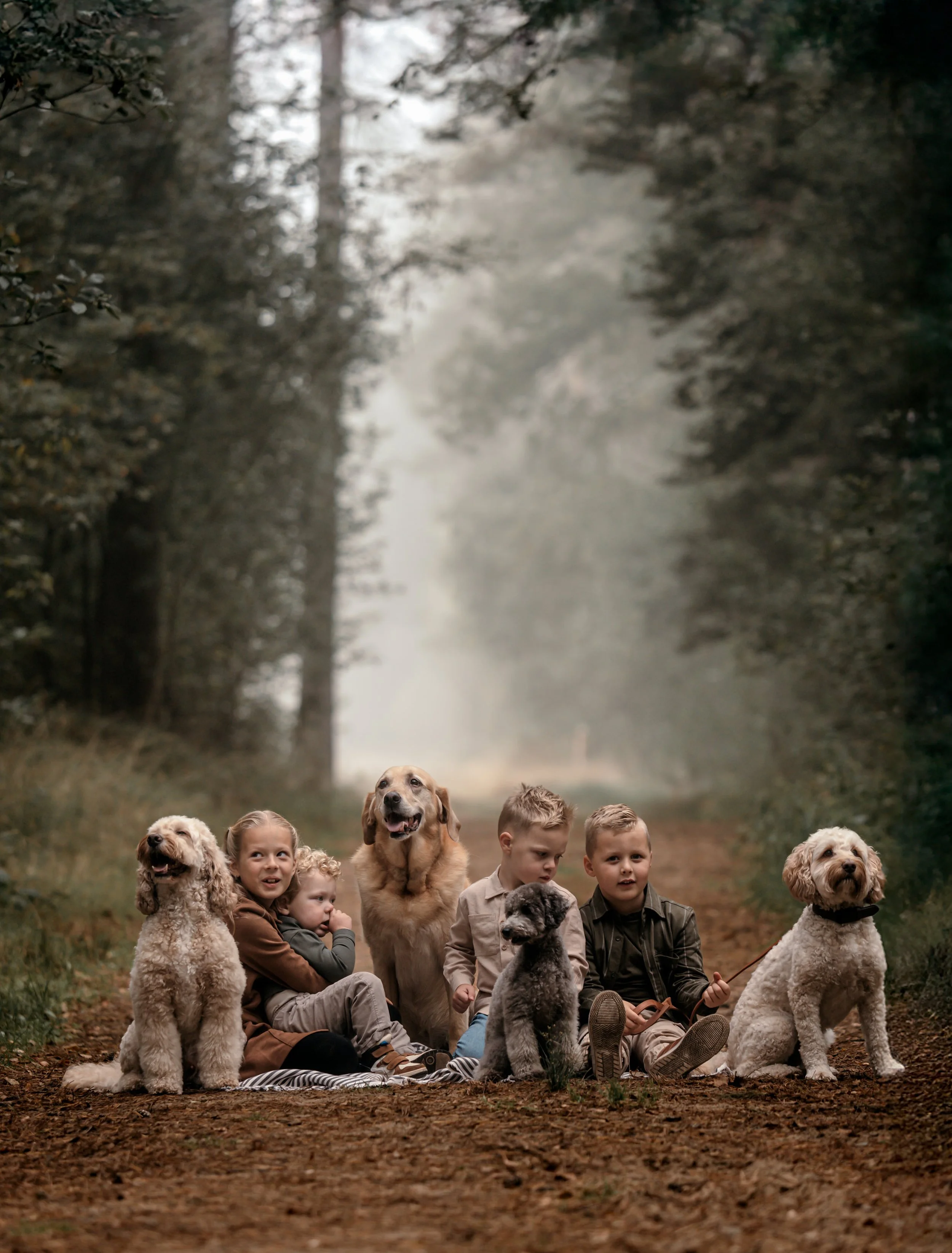 familieshoot met honden, vrolijke foto's laten maken in de buitenlucht