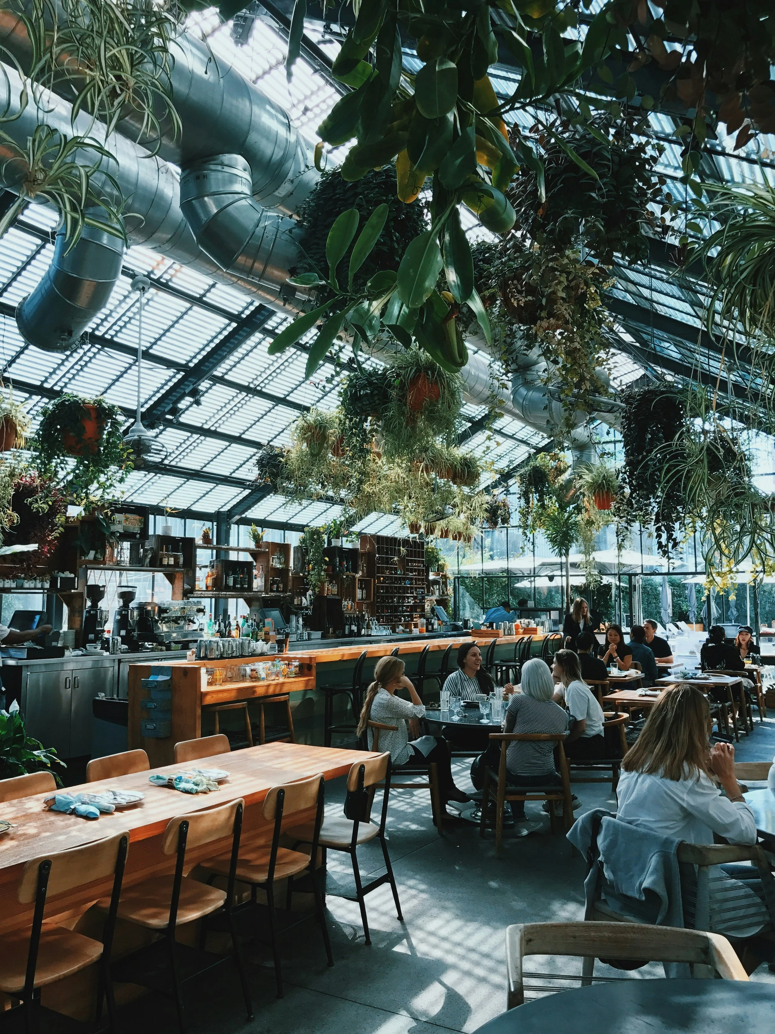 Interior of a bustling, modern restaurant or cafe with large glass windows, hanging plants, and a high ceiling with visible ductwork. Customers are sitting at tables, enjoying their meals, with a bar area in the background.