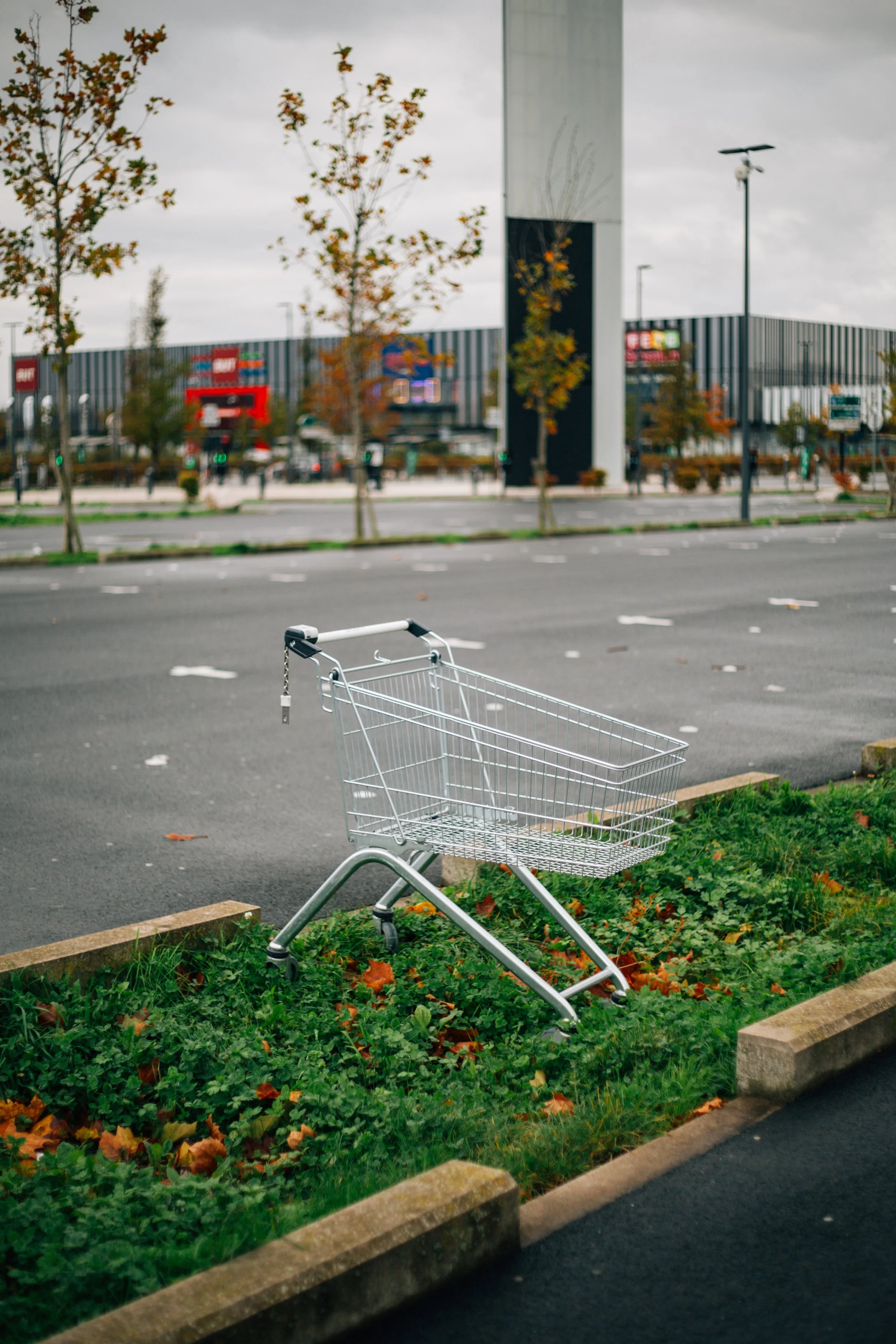 AUCHAN-20.jpg