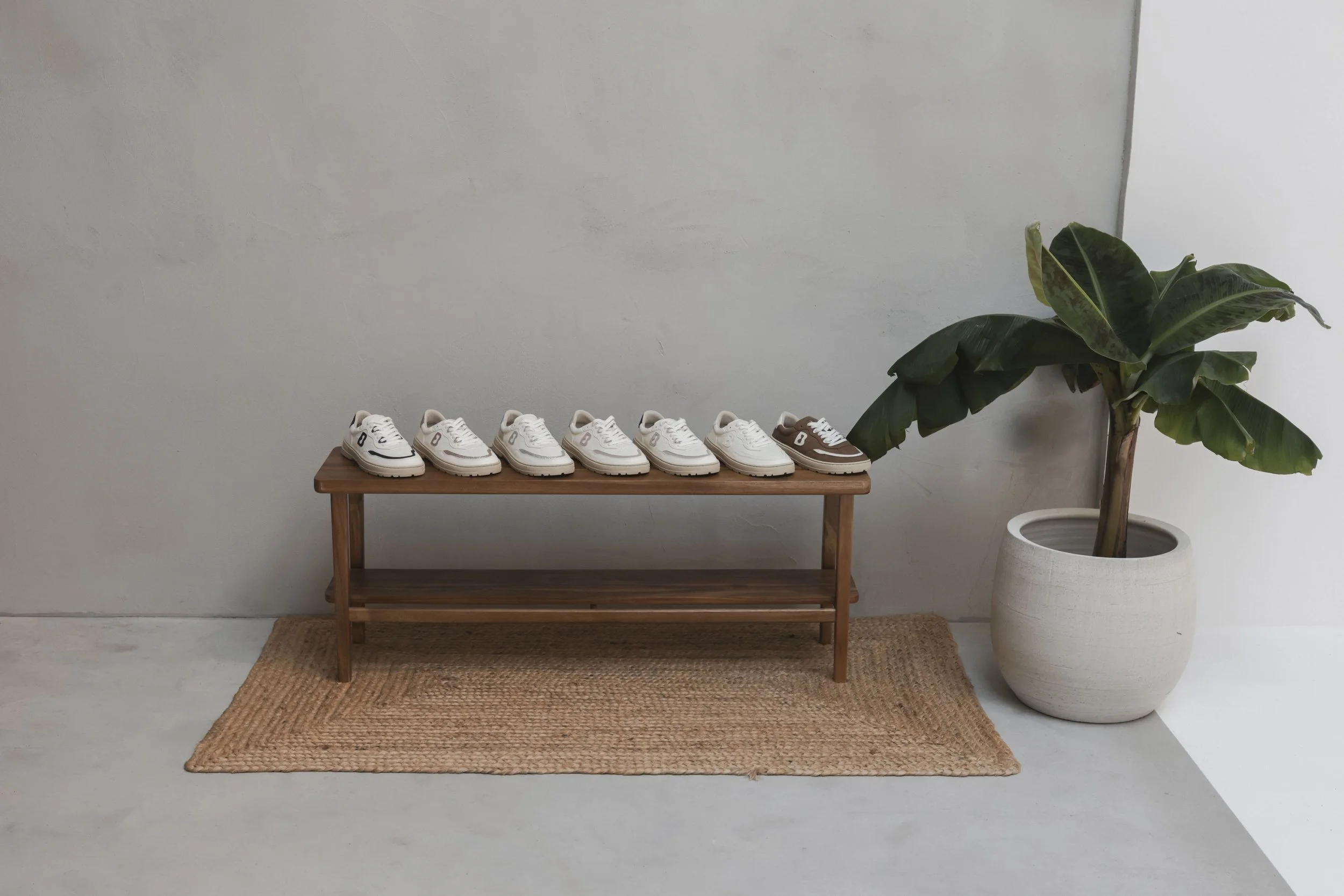 Ventanilla con seis pares de zapatos blancos y uno color café sobre una mesa de madera, junto una planta grande en una maceta blanca en una pared gris clara.