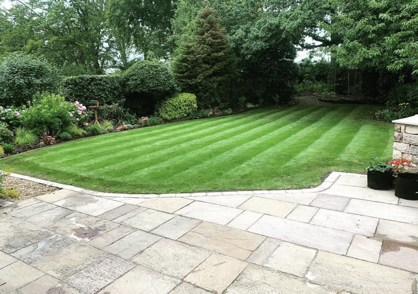 A well-maintained backyard with a vibrant green lawn striped pattern, surrounded by various bushes and trees, and a stone patio area with potted plants.