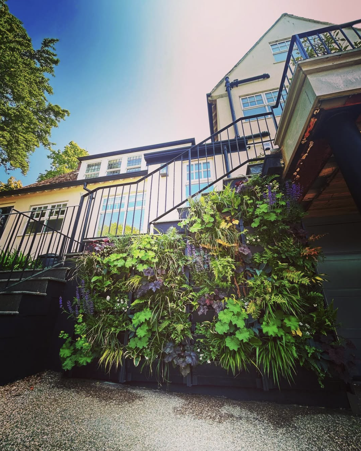 Low-angle view of a multi-story house with a front porch, black metal railing, and lush green plants hanging from the underside of the deck, with trees and blue sky in the background.