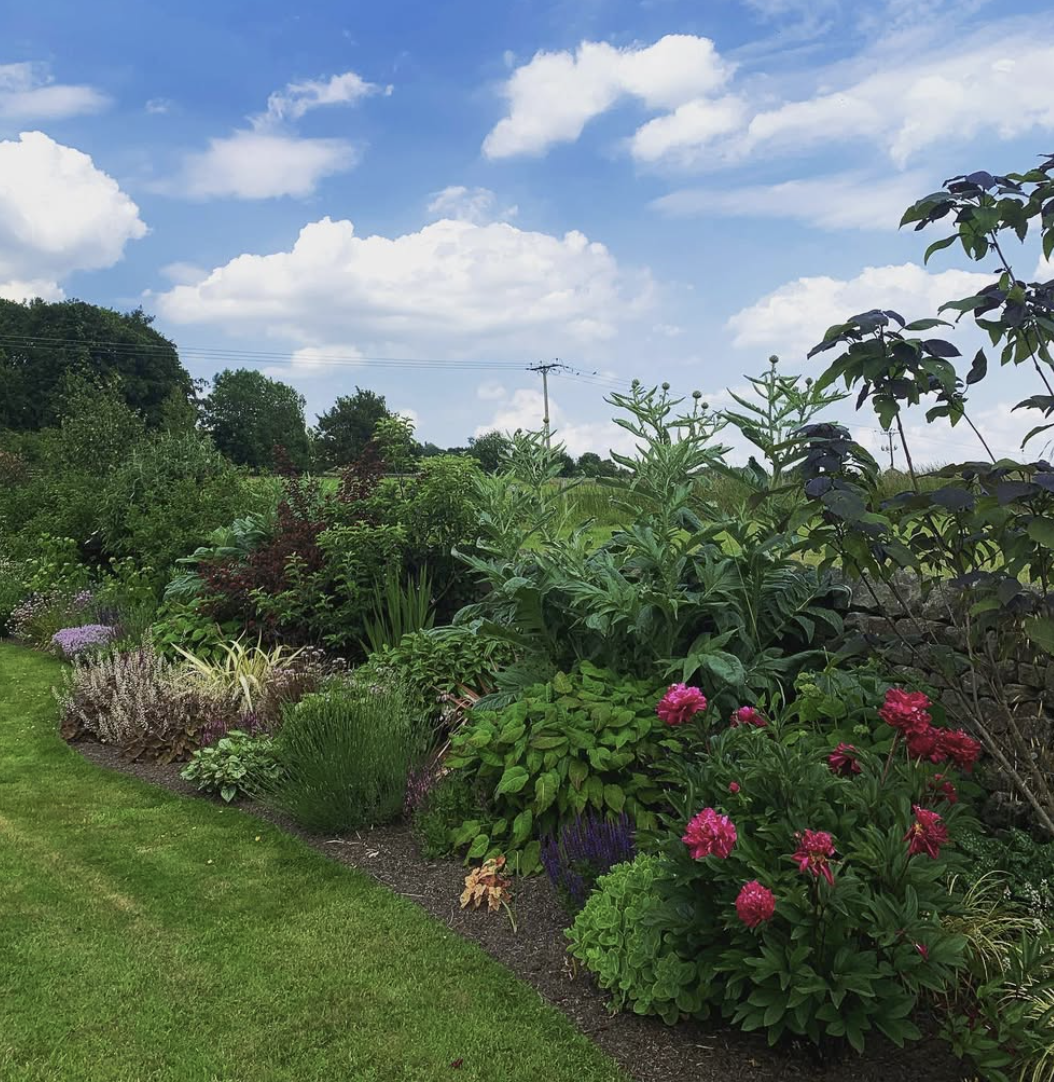 A lush garden with various green plants and flowers along a neatly maintained lawn, under a bright blue sky with scattered clouds, and a power line crossing in the background.