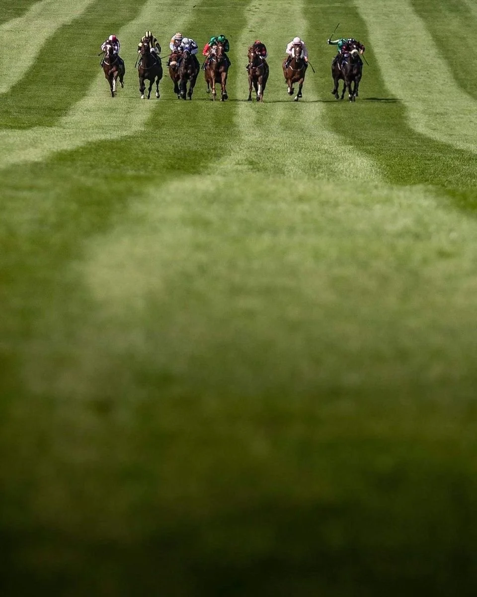Horse race with jockeys riding on the racetrack.