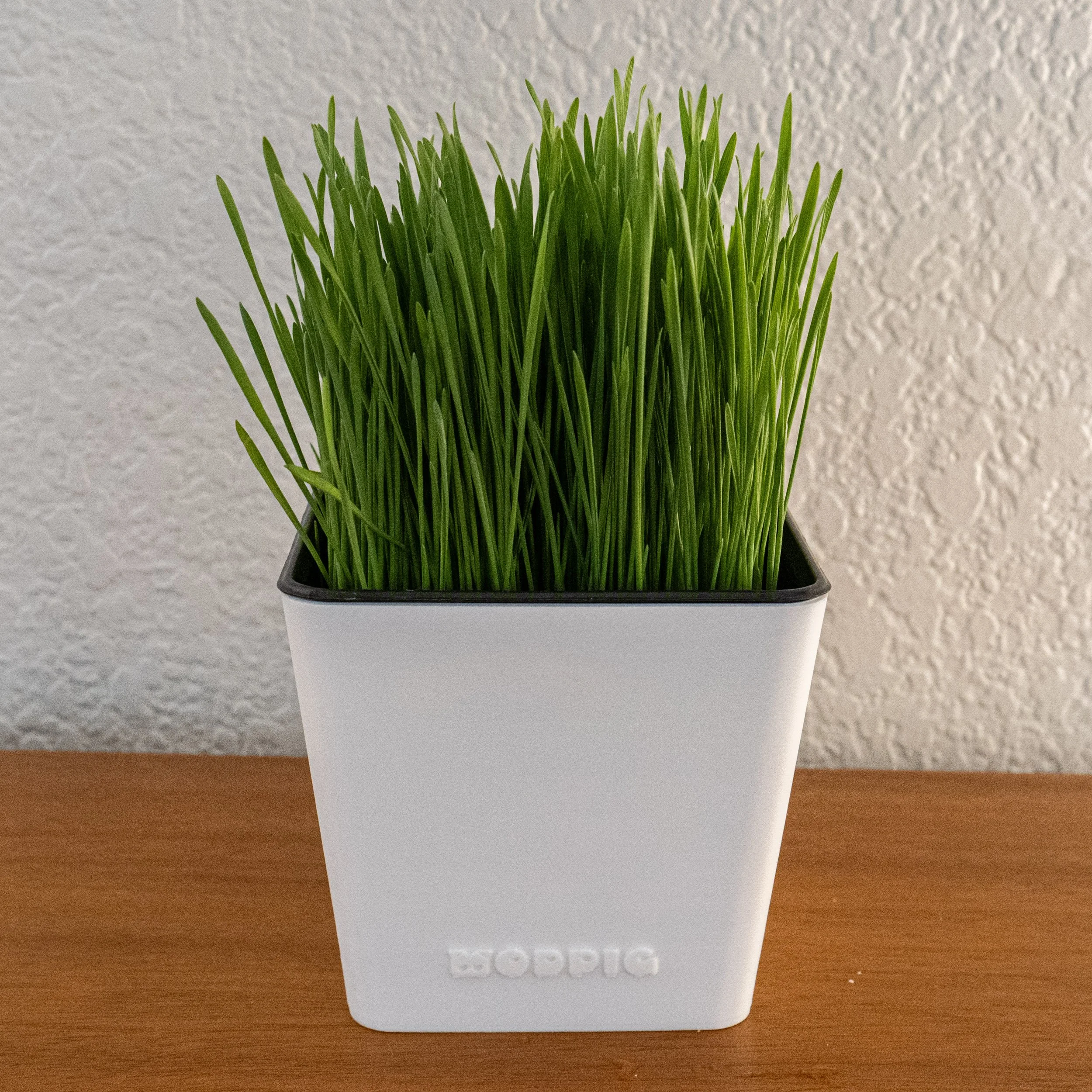 Wheatgrass Makeover